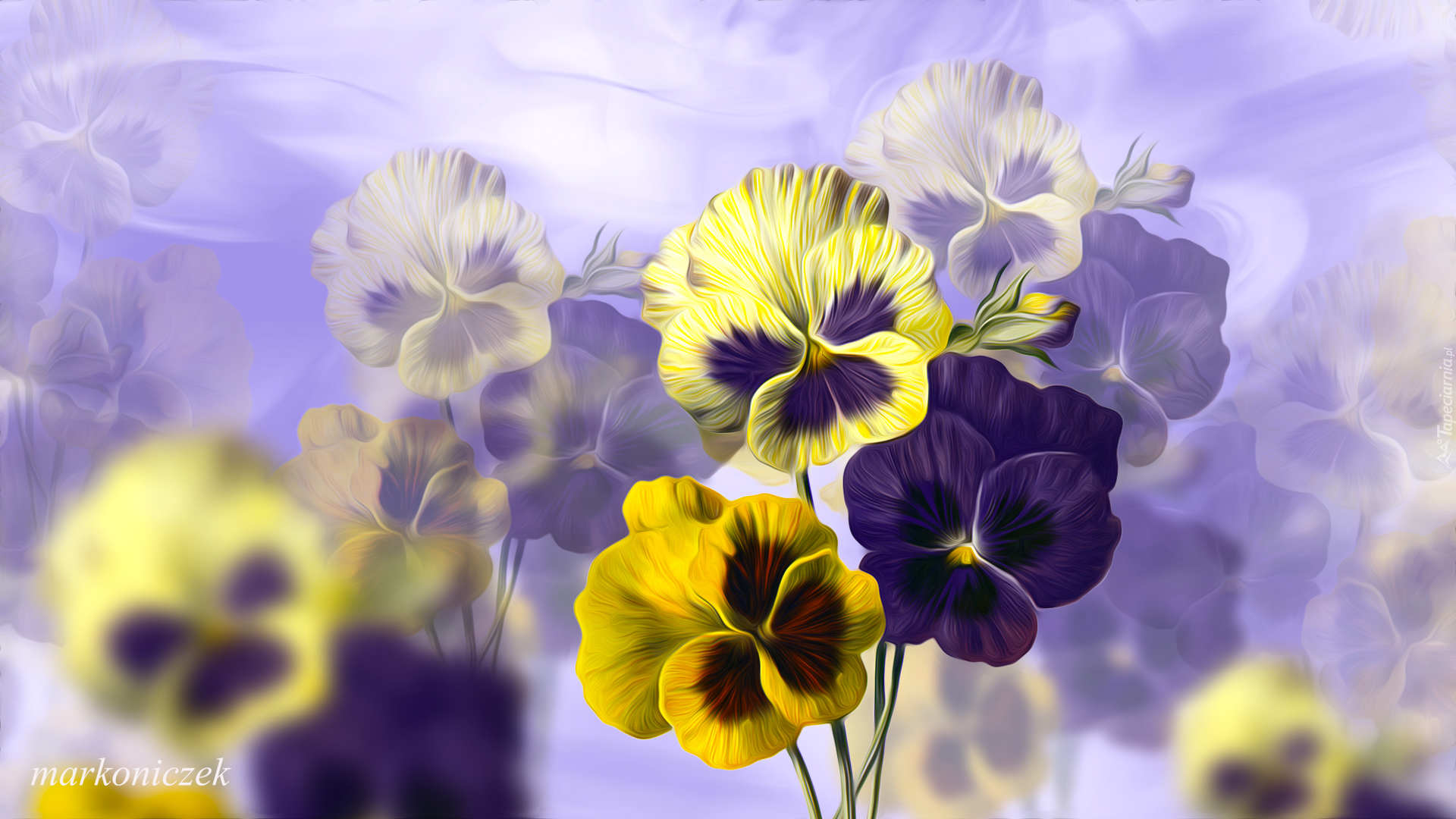 Kwiaty, Fioletowy, Żółte, Bratki, Grafika