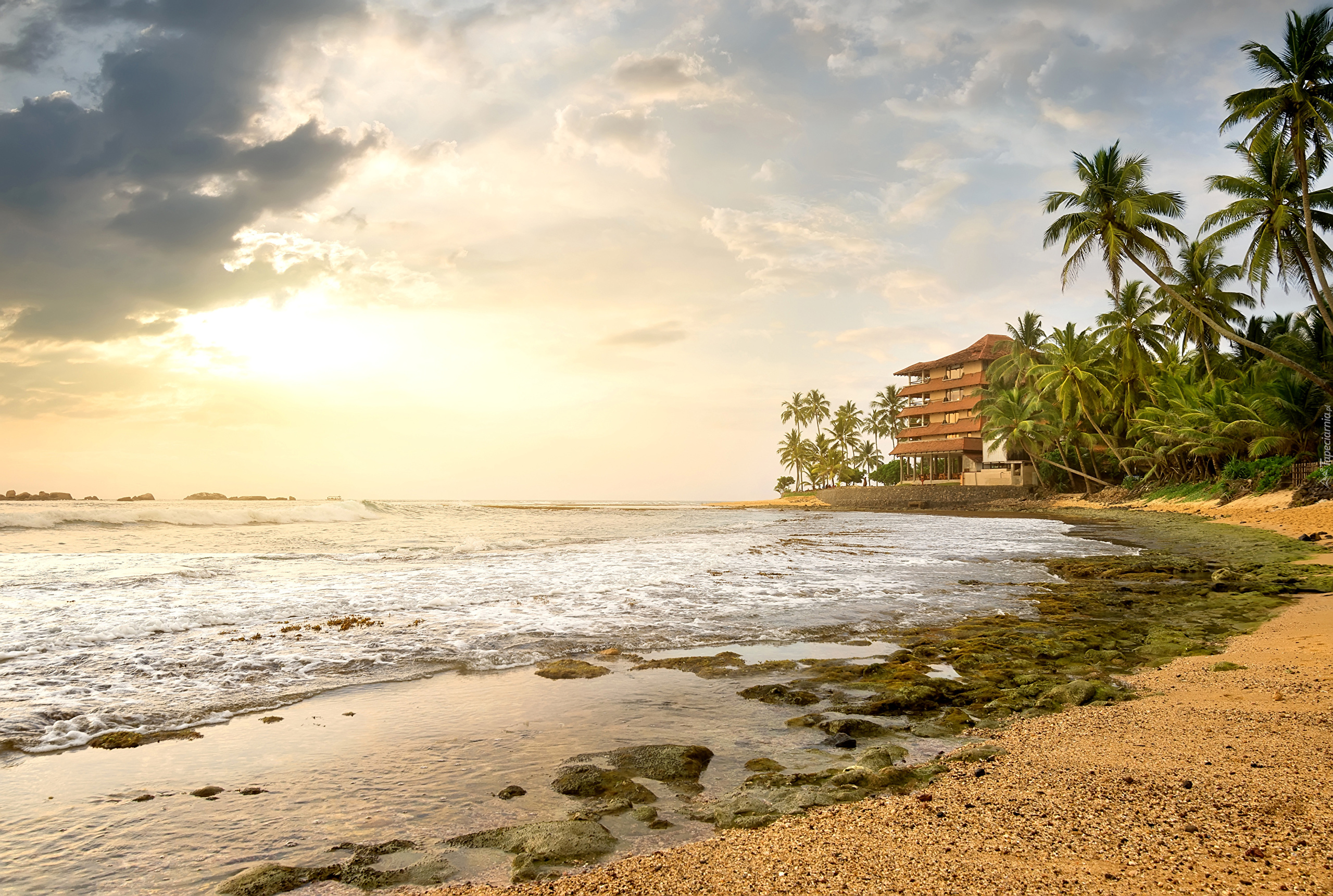 Sri Lanka, Ocean, Plaża, Dom, Palmy