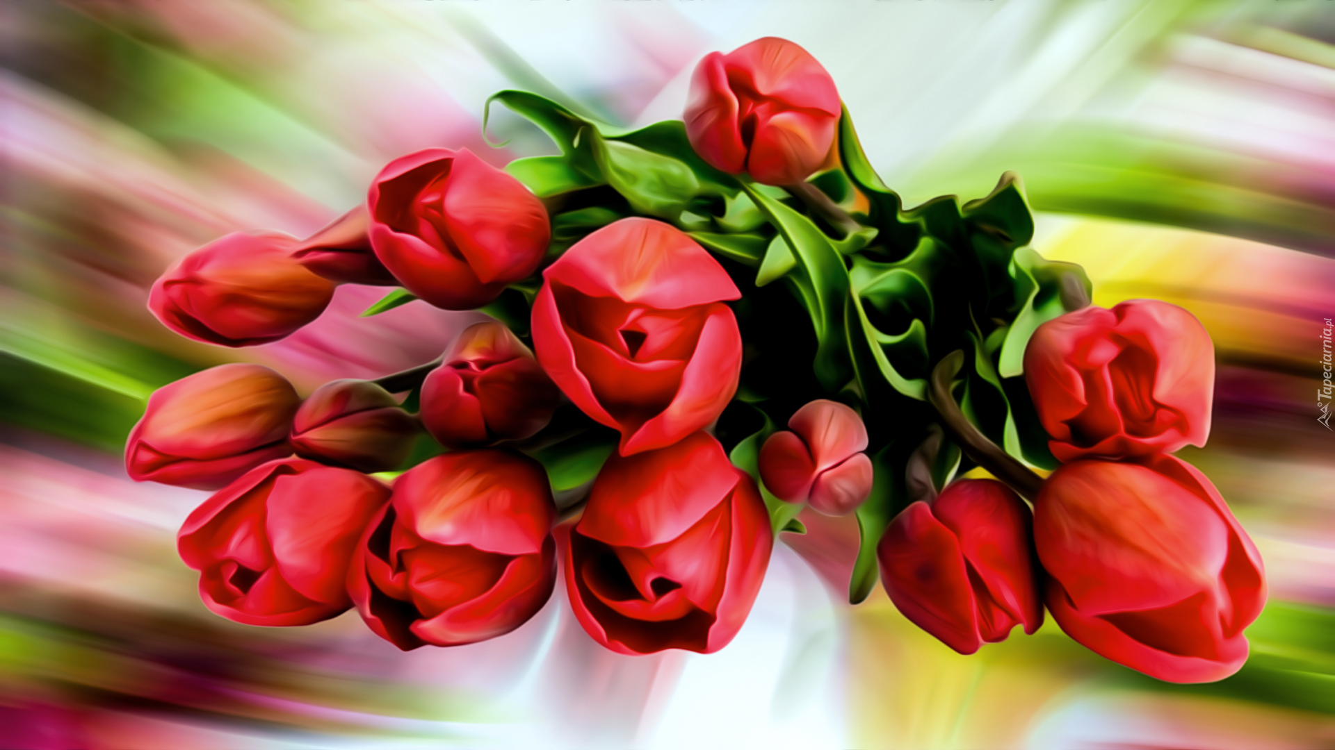 Kwiaty, Czerwone, Tulipany, Grafika