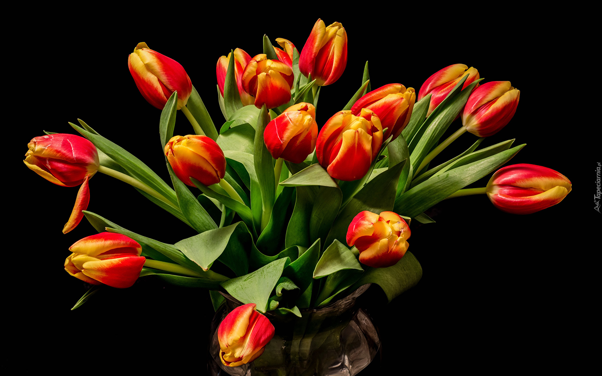 Kwiaty, Bukiet, Czerwono-żółte, Tulipany, Wazon, Tło czarne