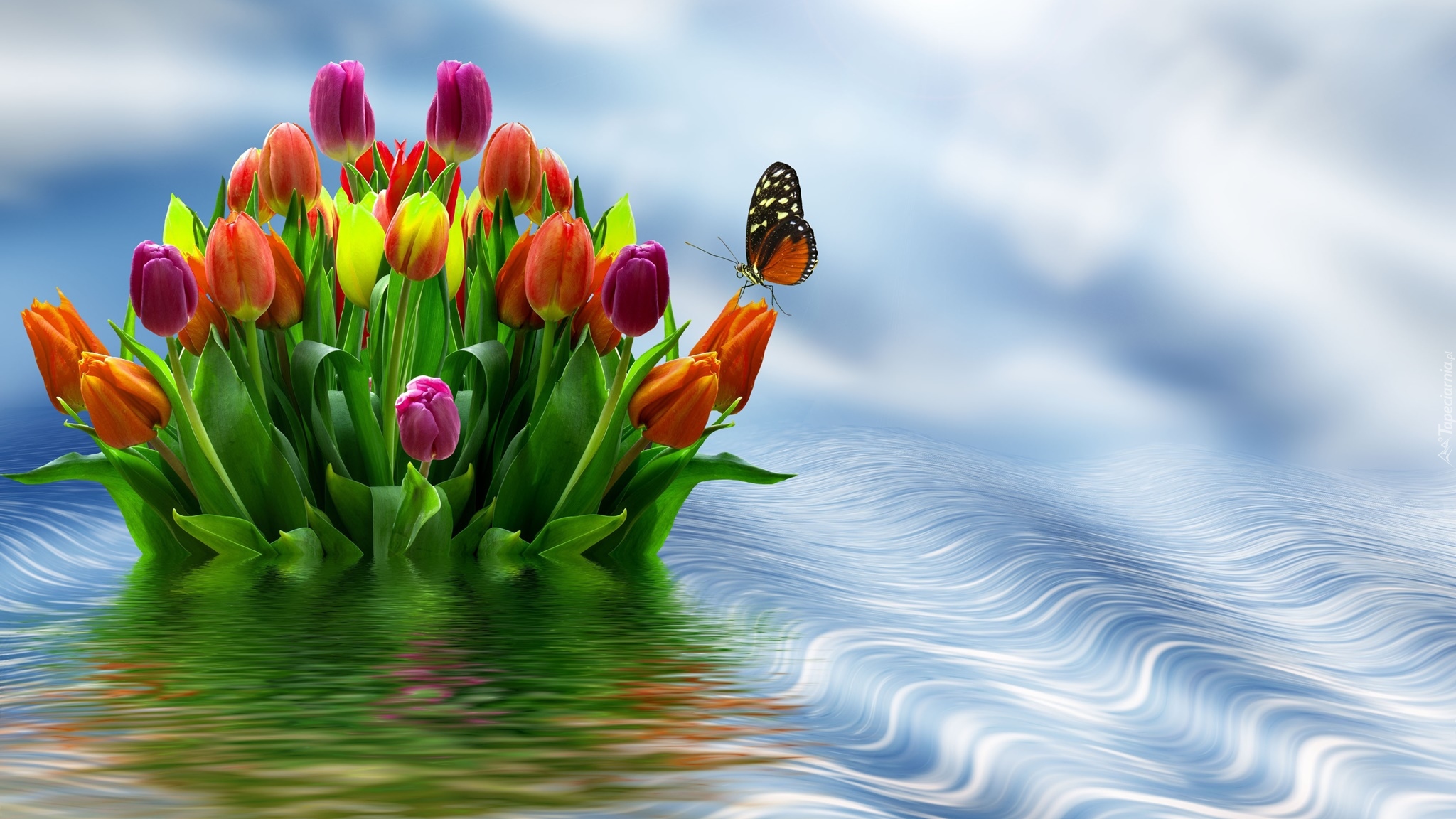 Kwiaty, Tulipany, Motyl, Grafika