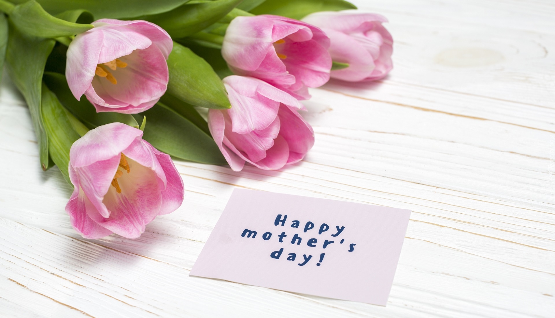 Dzień Matki, Bukiet, Różowe, Tulipany, Kartka, Napis