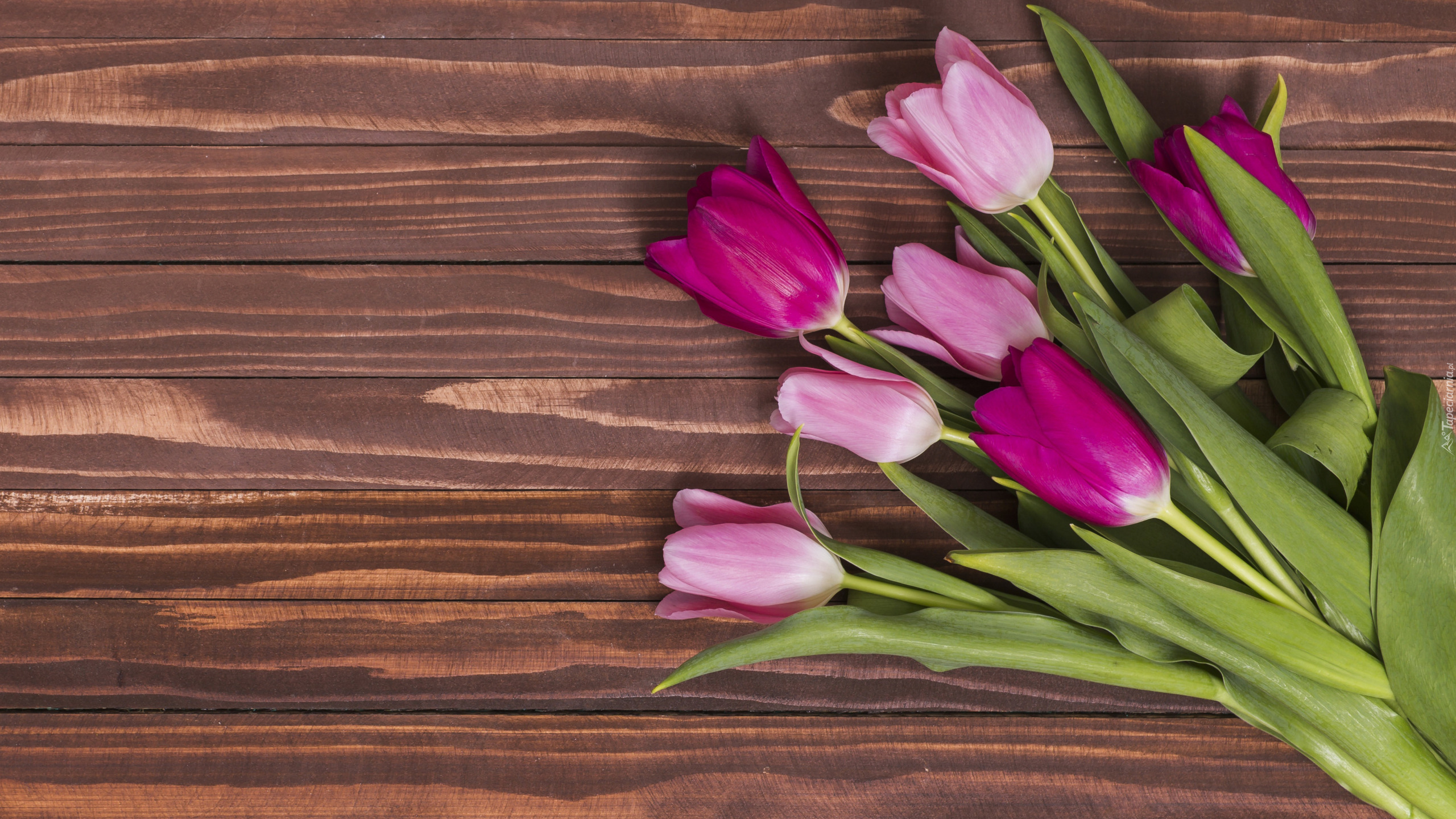 Różowe, Tulipany, Brązowe, Deski