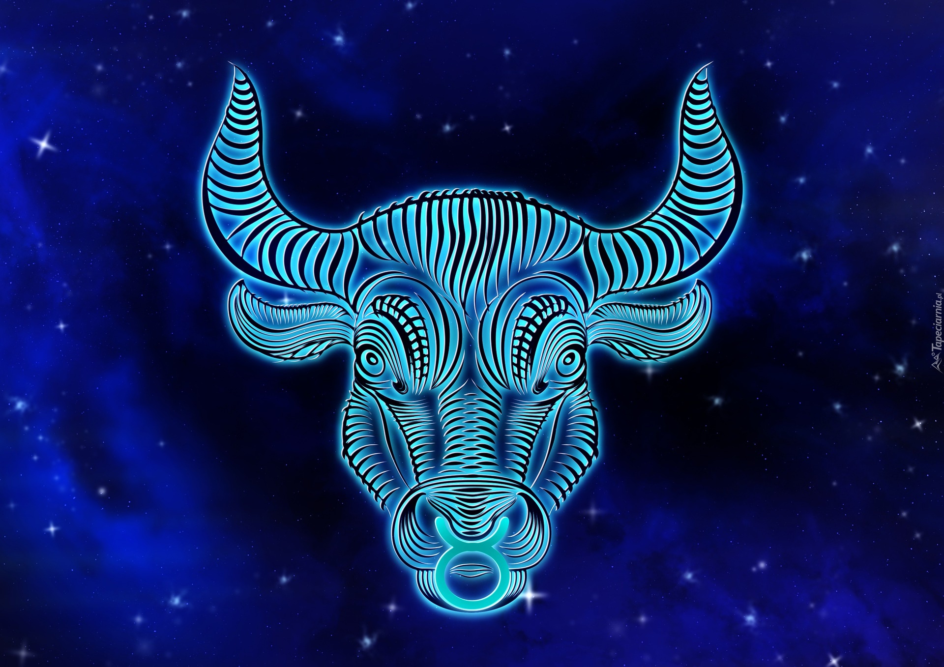 Znak zodiaku, Byk, Horoskop