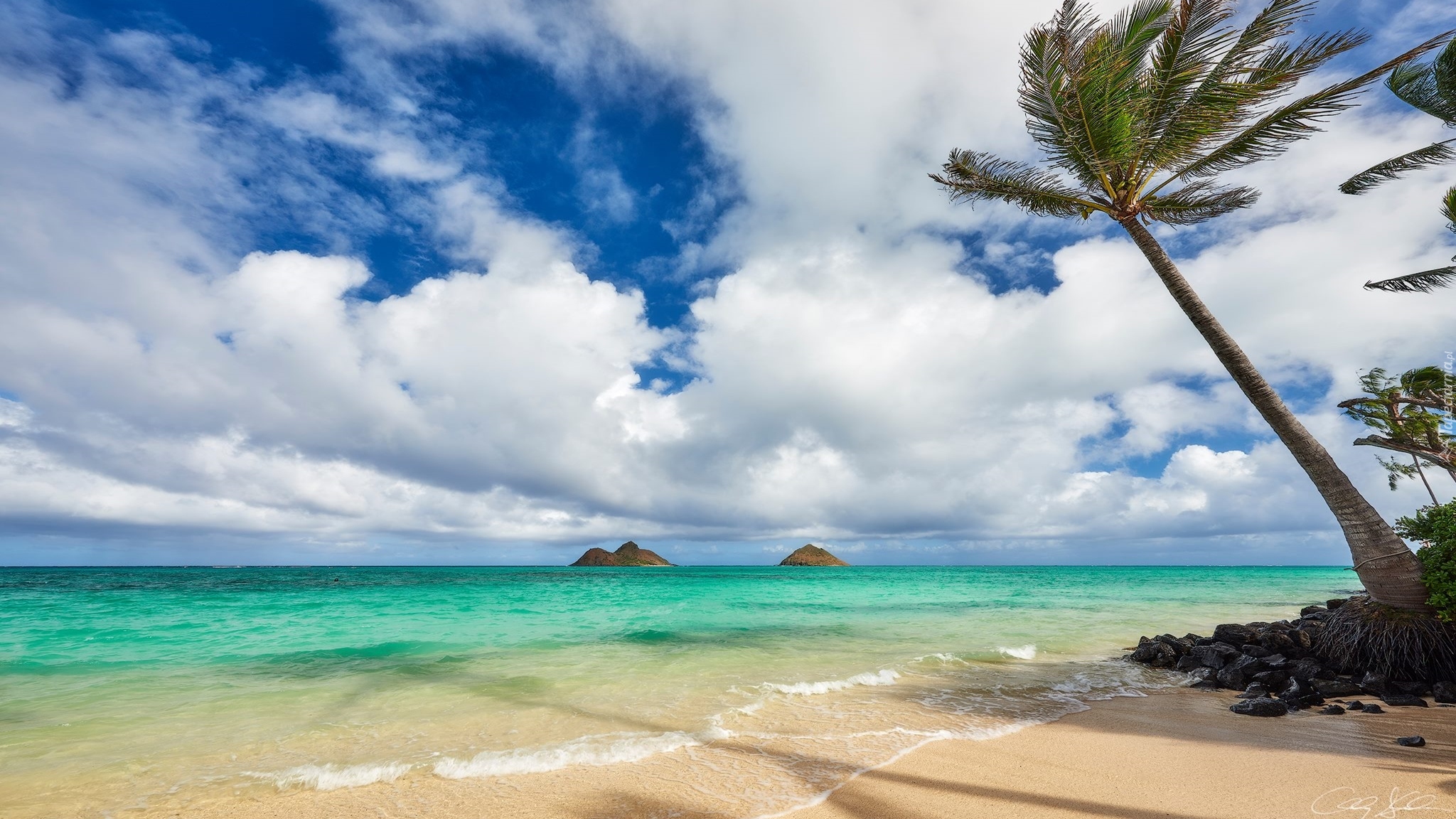 Hawaje, Wyspa Maui, Plaża, Morze, Palmy, Chmury