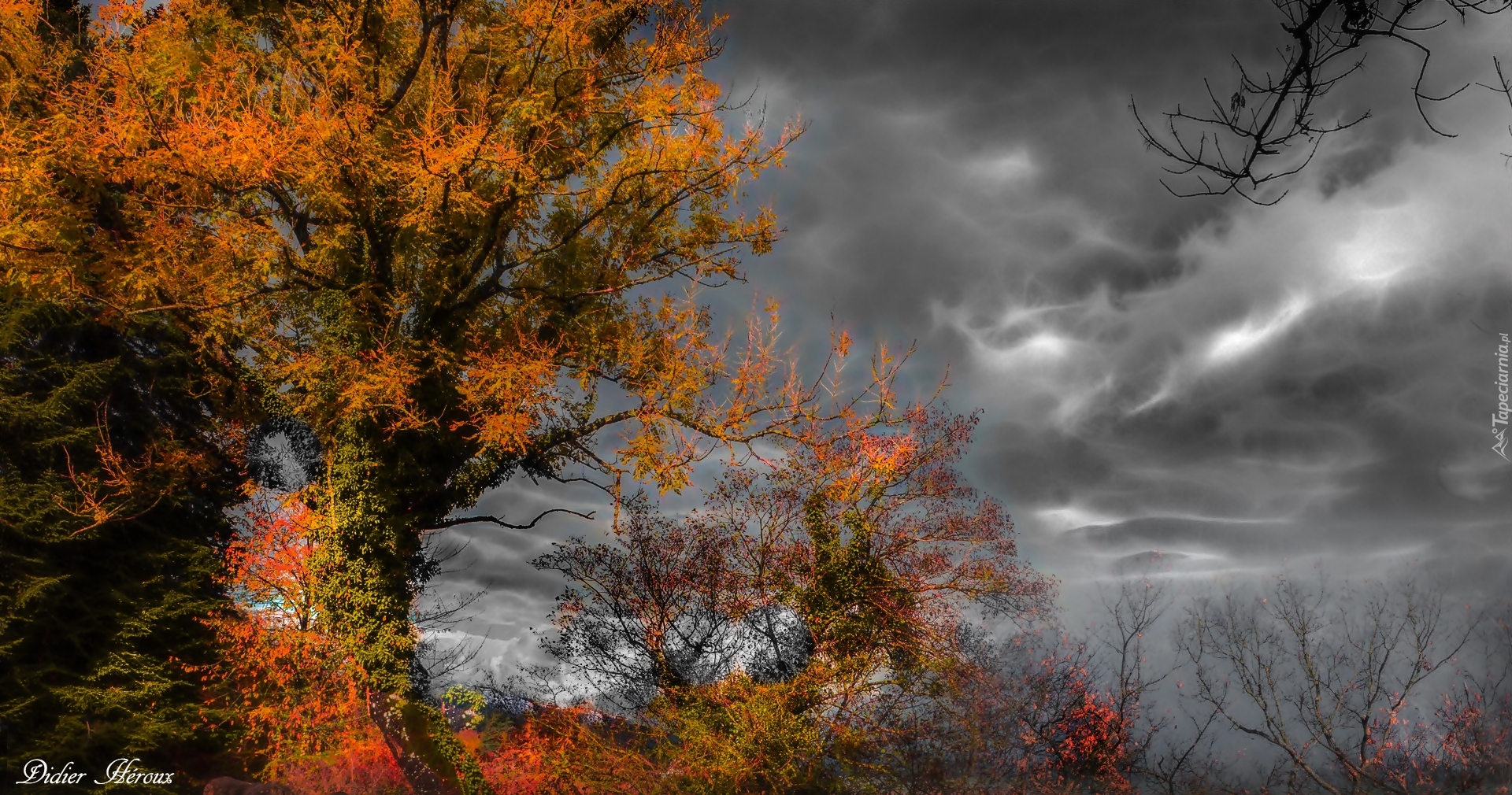 Drzewa, Jesień, Ciemne, Chmury