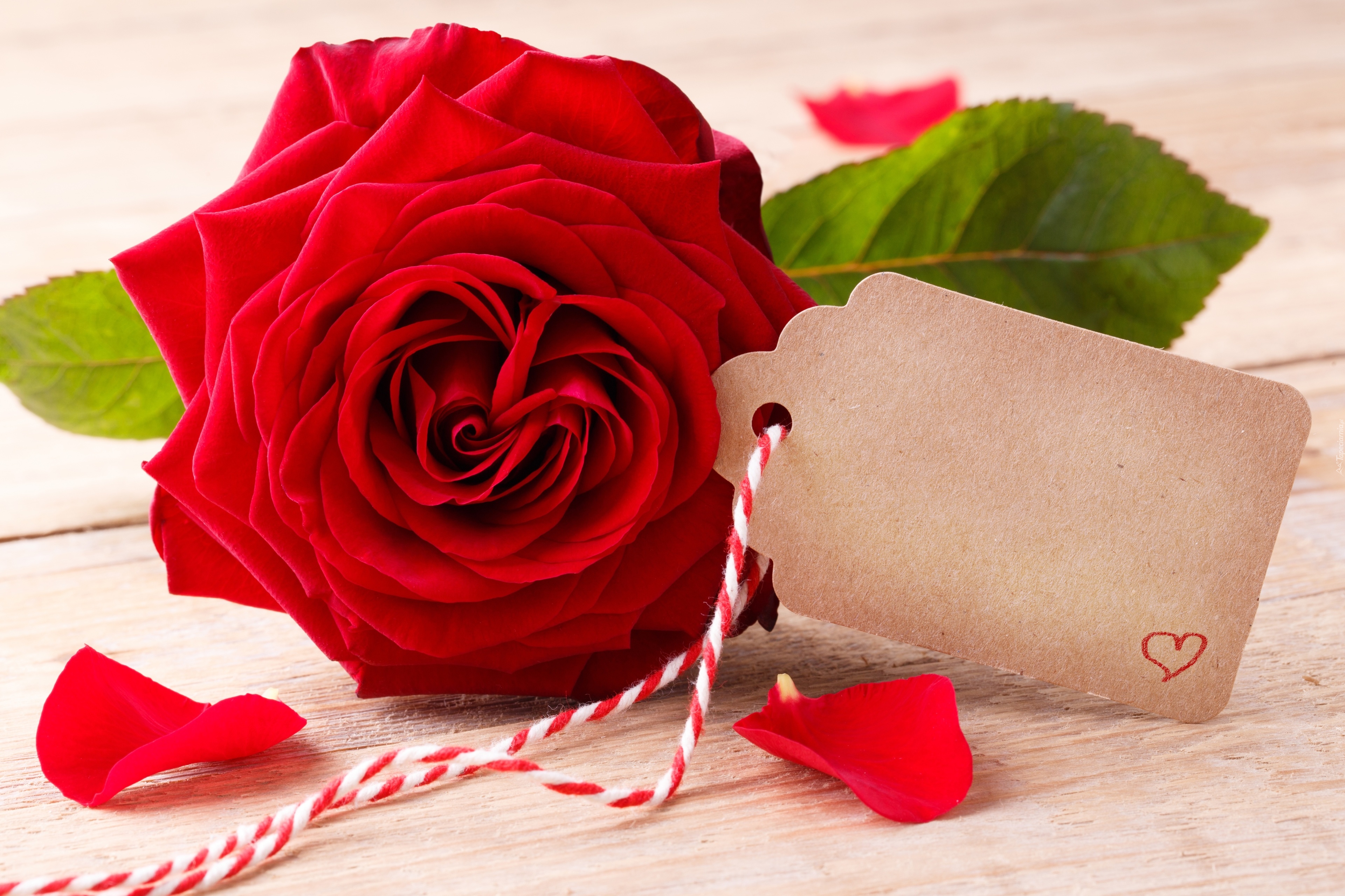 Czerwona, Róża, Karteczka