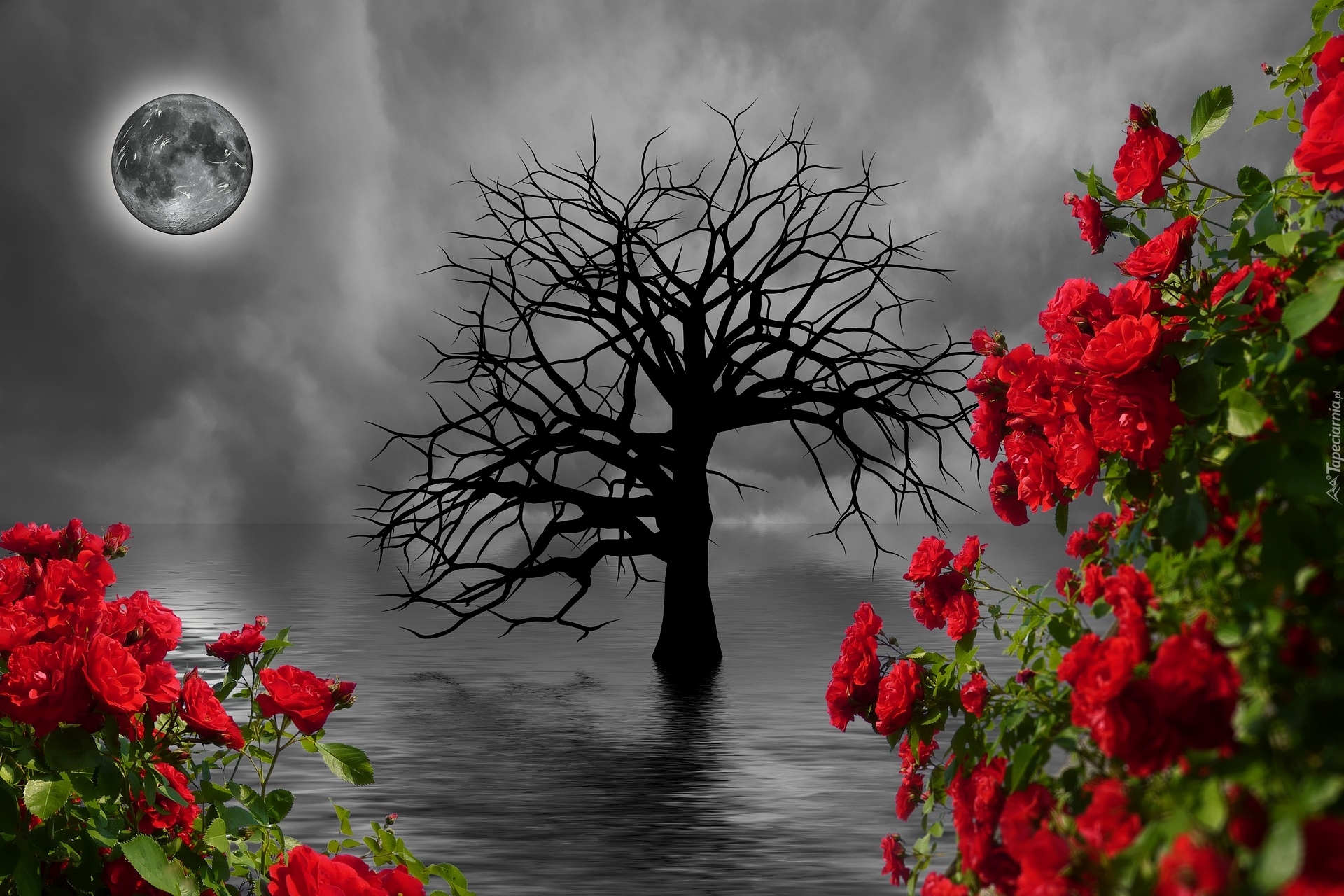 Drzewo, Księżyc, Morze, Kwiaty, Czerwone, Róże, Grafika 2D