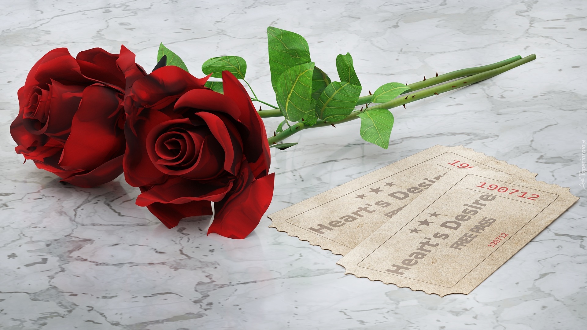 Kwiaty, Róże, Czerwone, Bilety