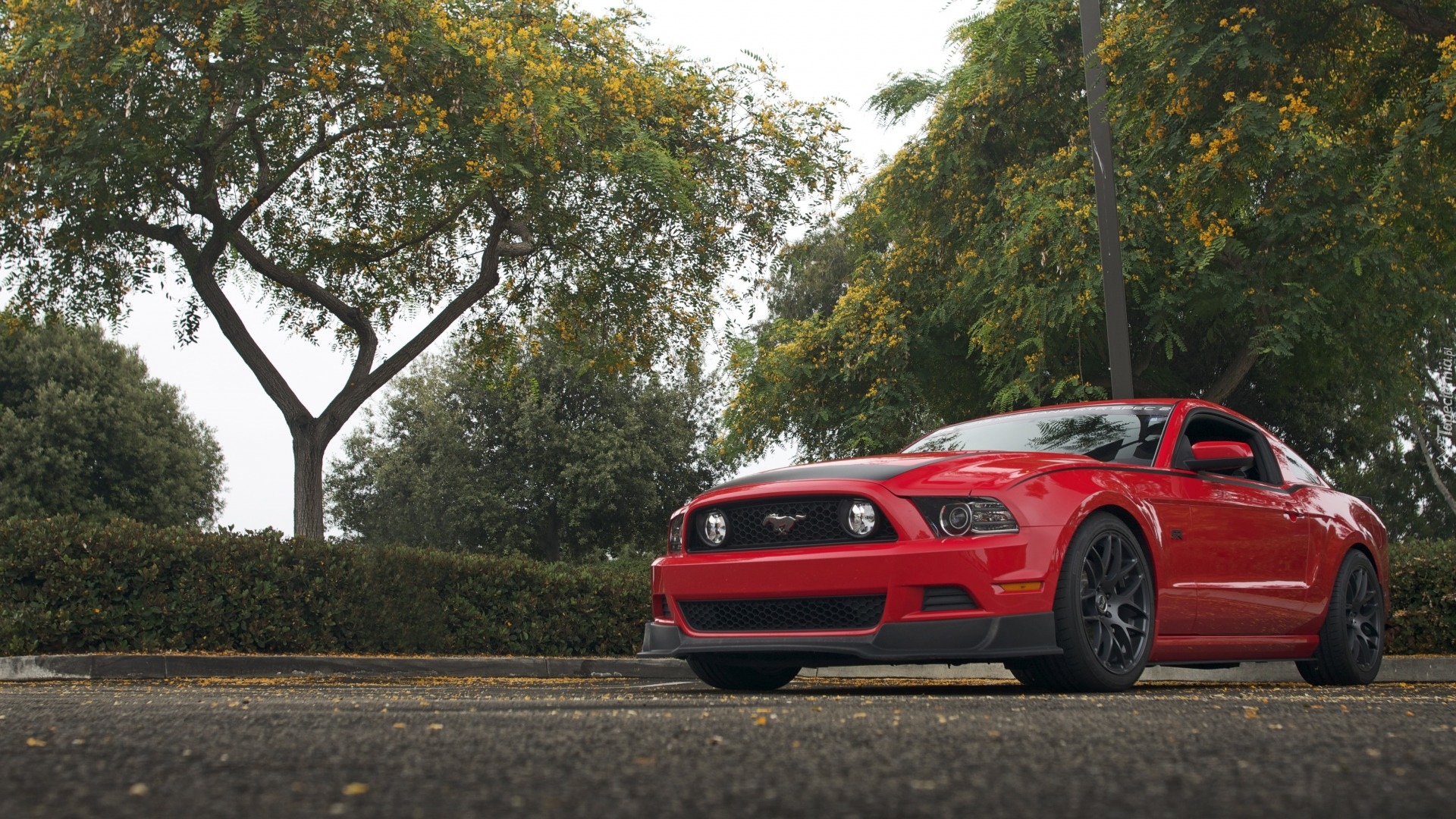 Ford Mustang, 2013, Czerwony