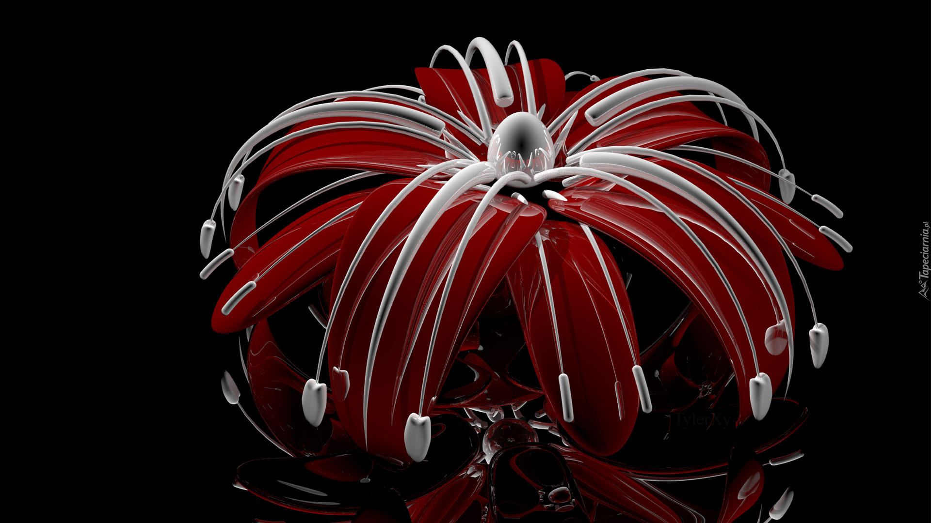 Grafika 3D, Czerwony, Kwiat, Białe, Pręciki