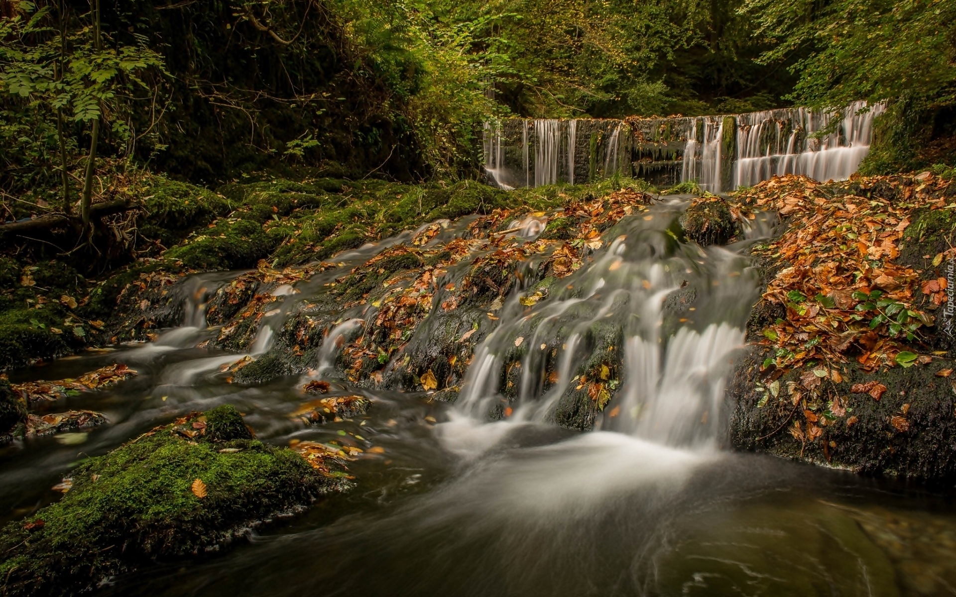 Wodospad Stock Ghyll Force, Kaskada, Rzeka River Rothay, Liście, Jesień, Miejscowość Ambleside, Kumbria, Anglia