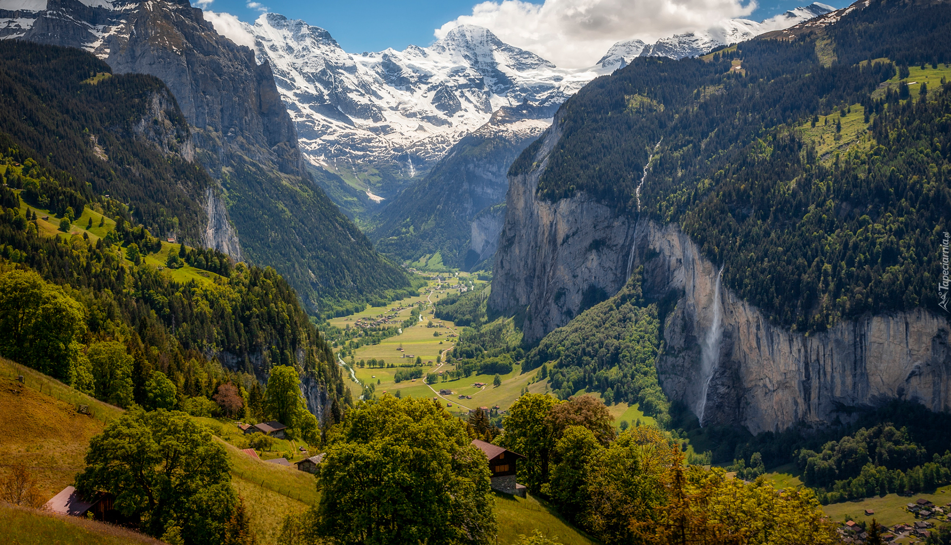 Gmina Lauterbrunnen, Wengen, Góry, Alpy Berneńskie, Dolina Lauterbrunnen, Drzewa, Lasy, Domy, Szwajcaria