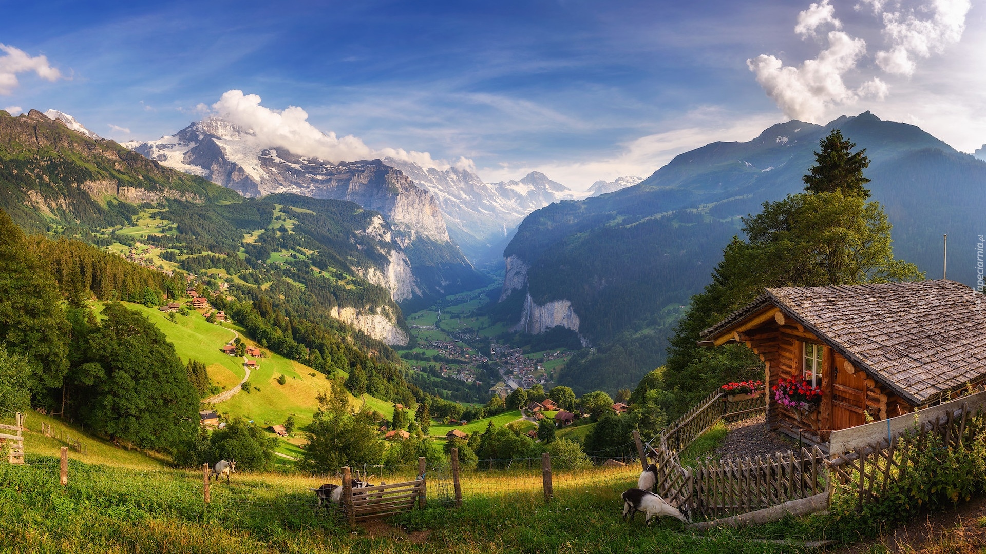 Szwajcaria, Góry, Alpy, Dolina, Lauterbrunnental, Domy, Drzewa, Ogrodzenie