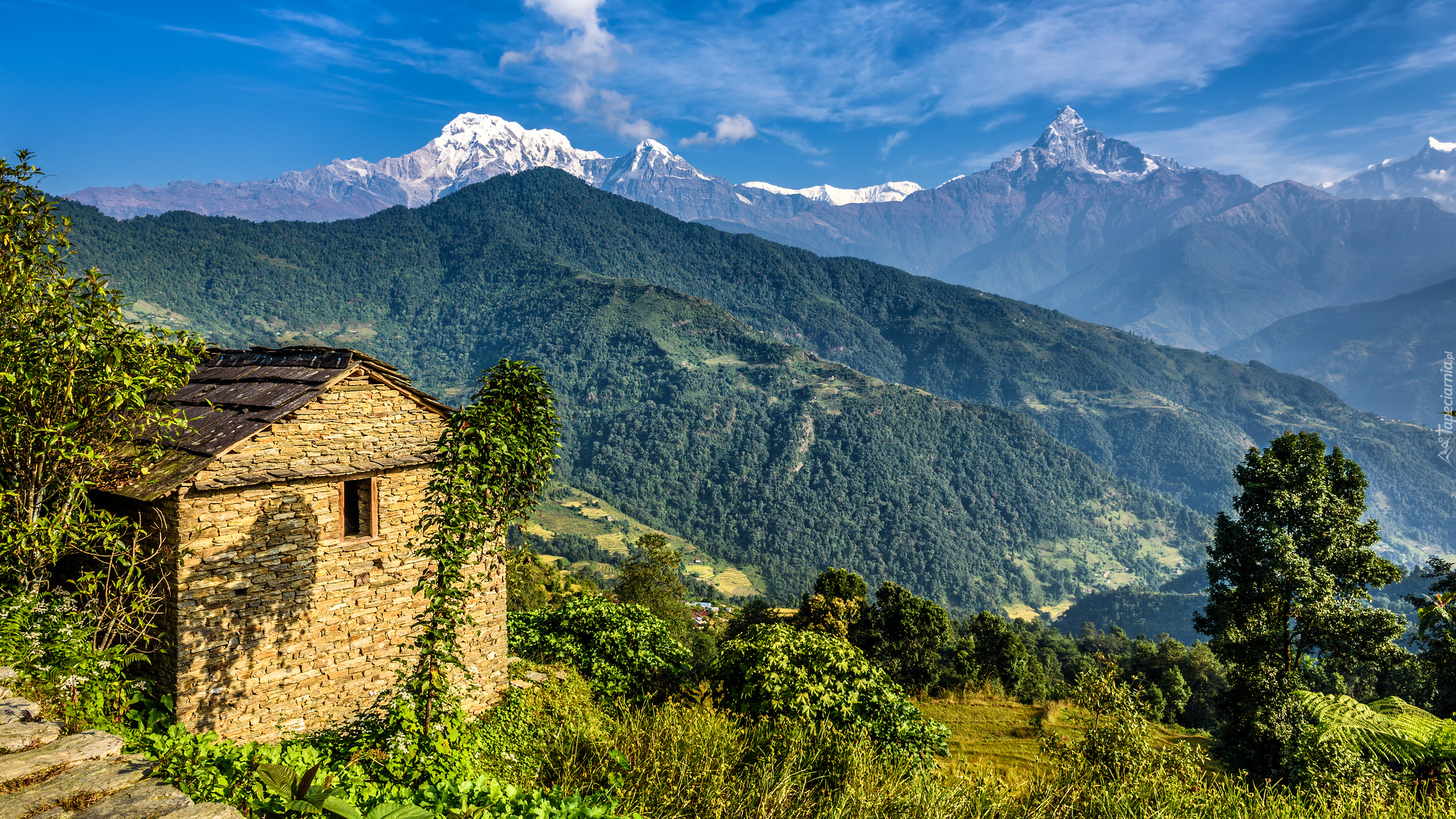 Góry, Himalaje, Dom, Drzewa, Nepal