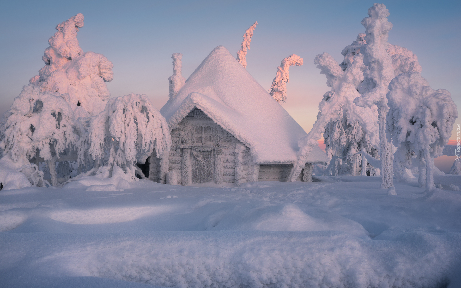 Zima, Ośnieżony, Dom, Drzewa, Śnieg