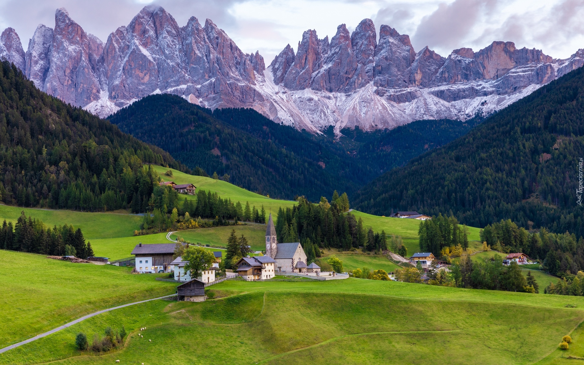 Włochy, Południowy Tyrol, Góry, Dolomity, Wieś, Santa Maddalena, Domy, Kościół, Łąki, Drzewa