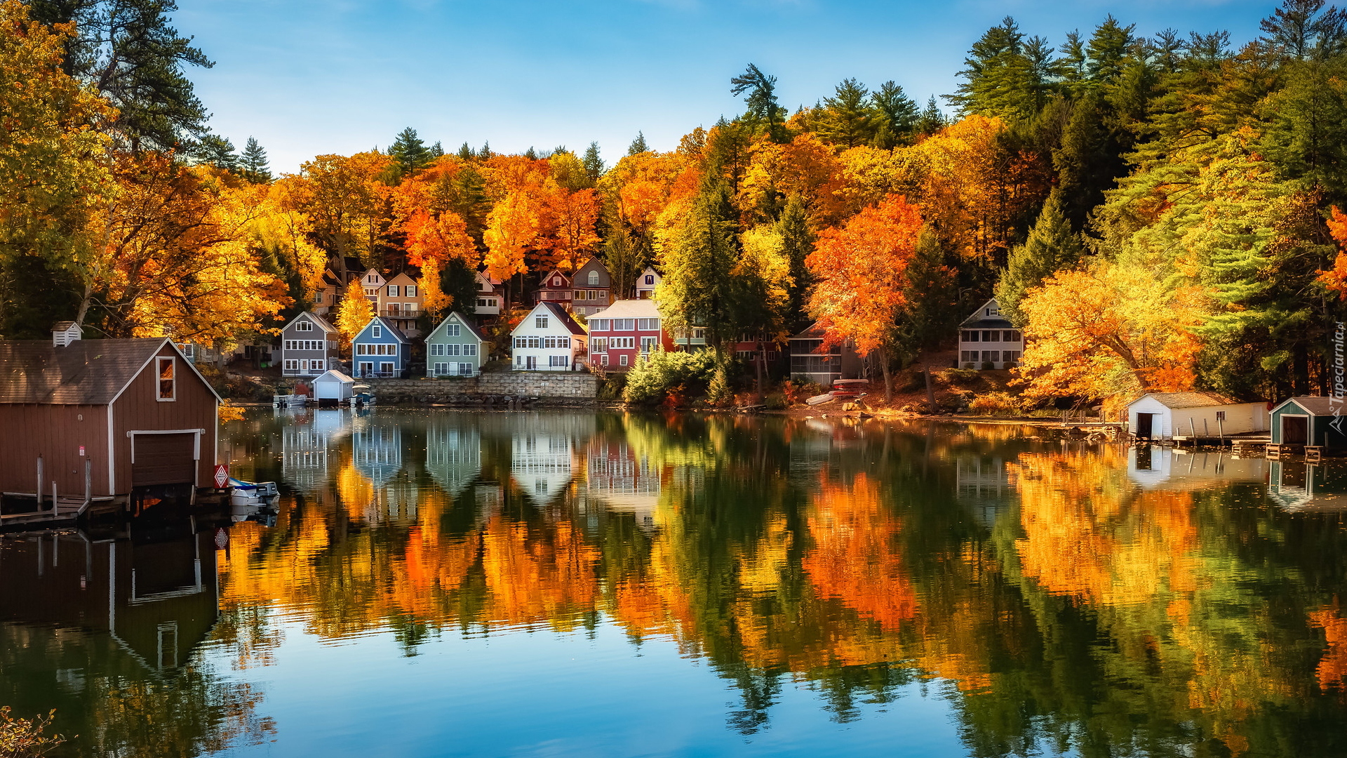 Jesień, Las, Drzewa, Domy, Jezioro Winnipesaukee, Alton, Stan New Hampshire, Stany Zjednoczone
