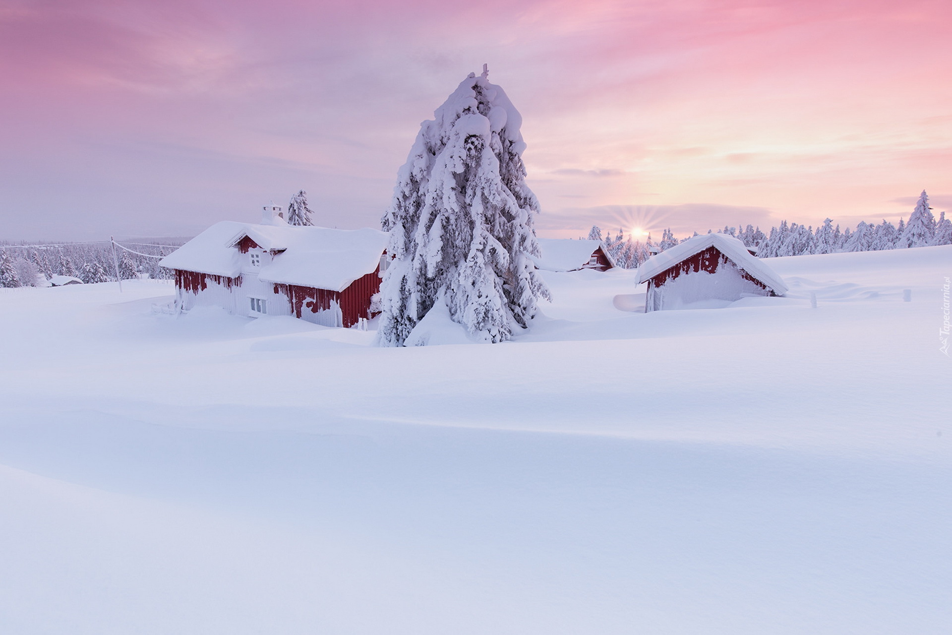 Śnieg, Zima, Dom, Drzewa