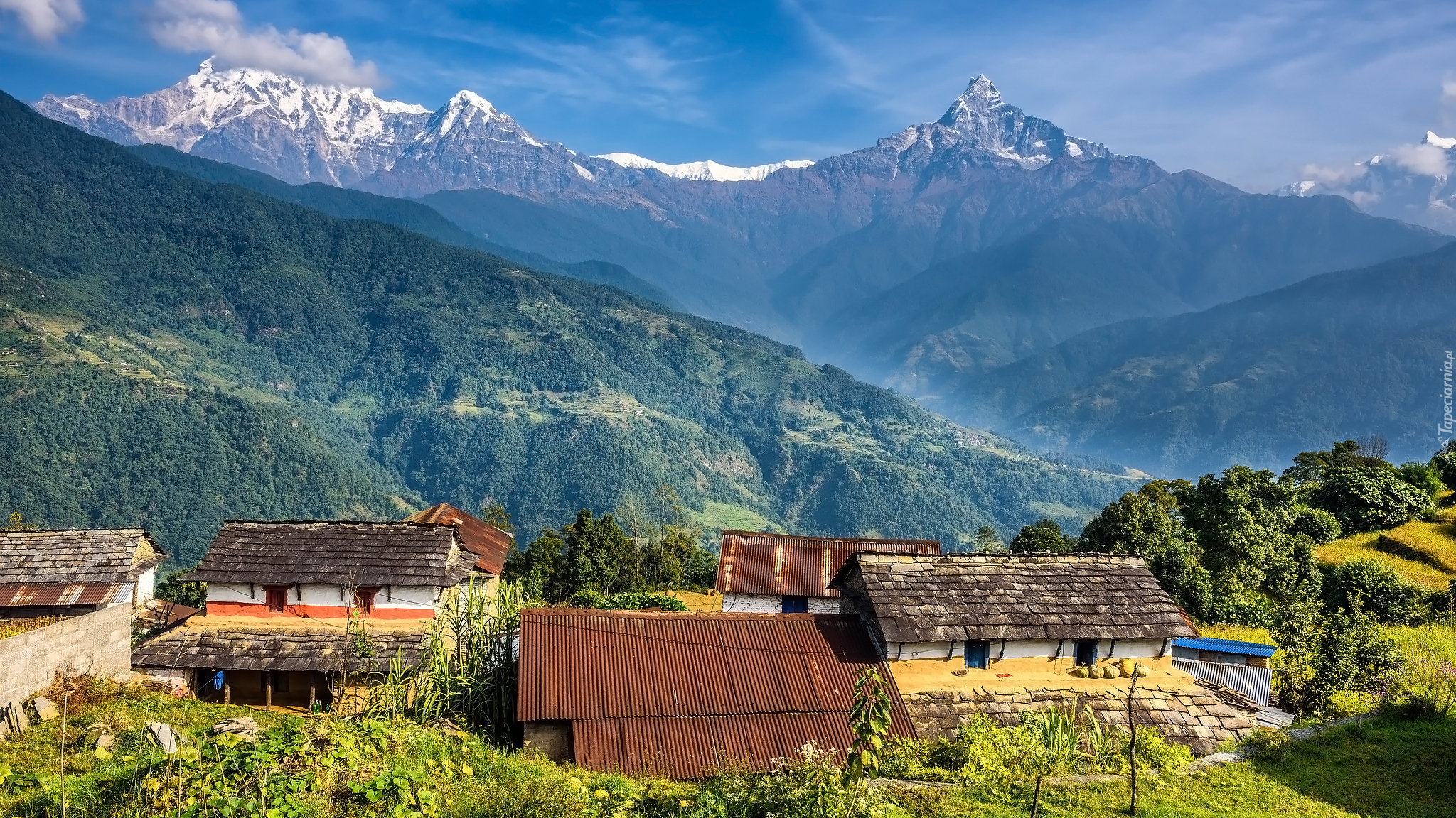 Góry, Himalaje, Drzewa, Domy, Nepal