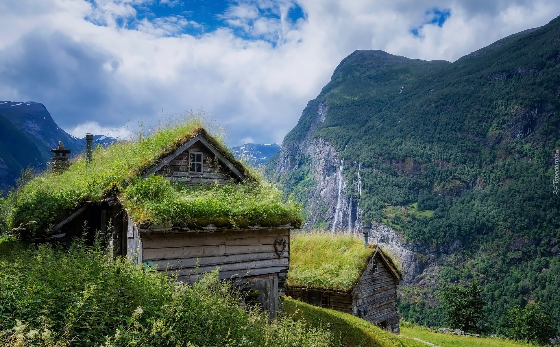 Norwegia, Domy, Góry, Trawa