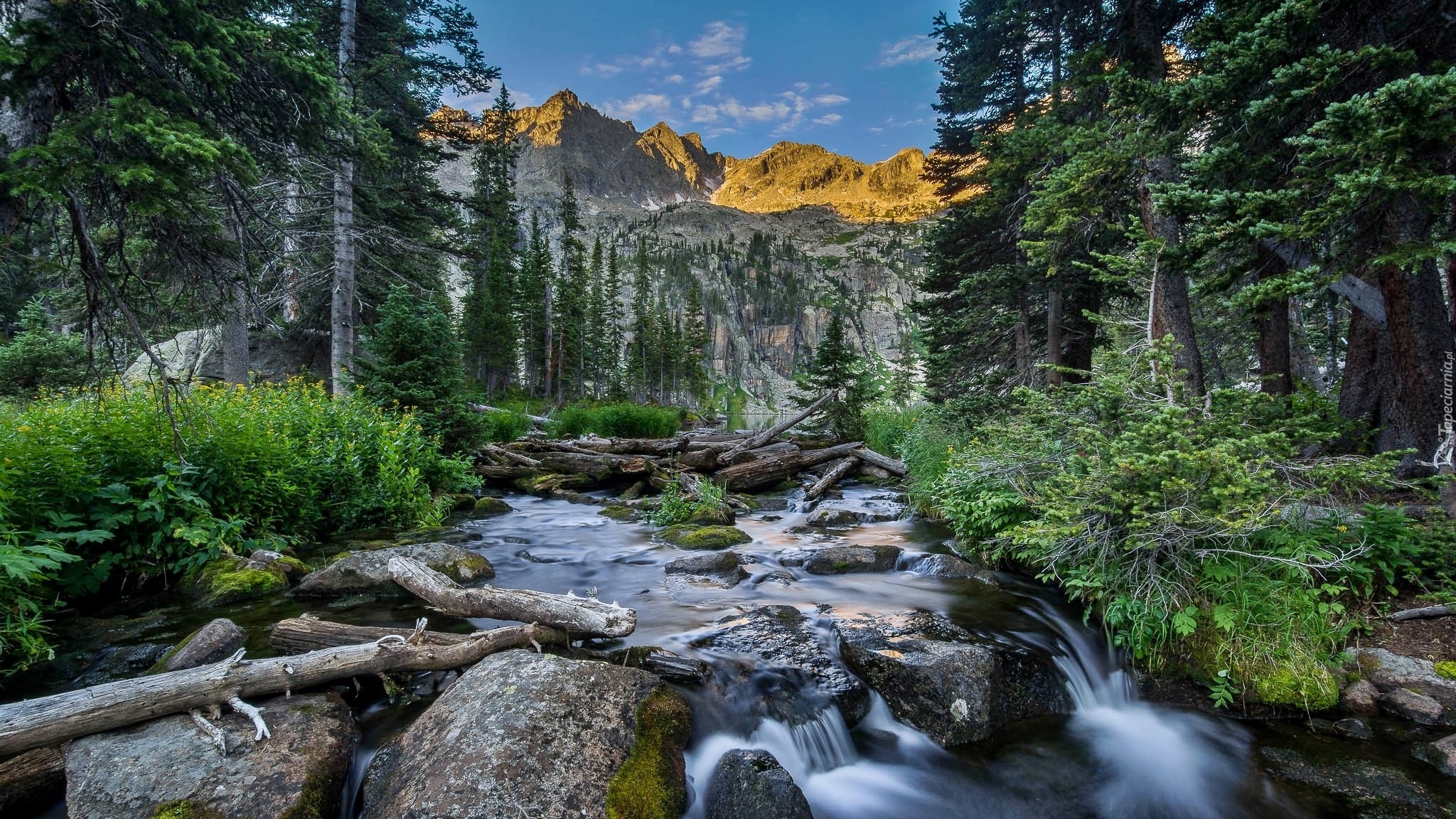 Stany Zjednoczone, Stan Kolorado, Indian Peaks Wilderness, Góry, Drzewa, Las, Rzeczka, Kamienie