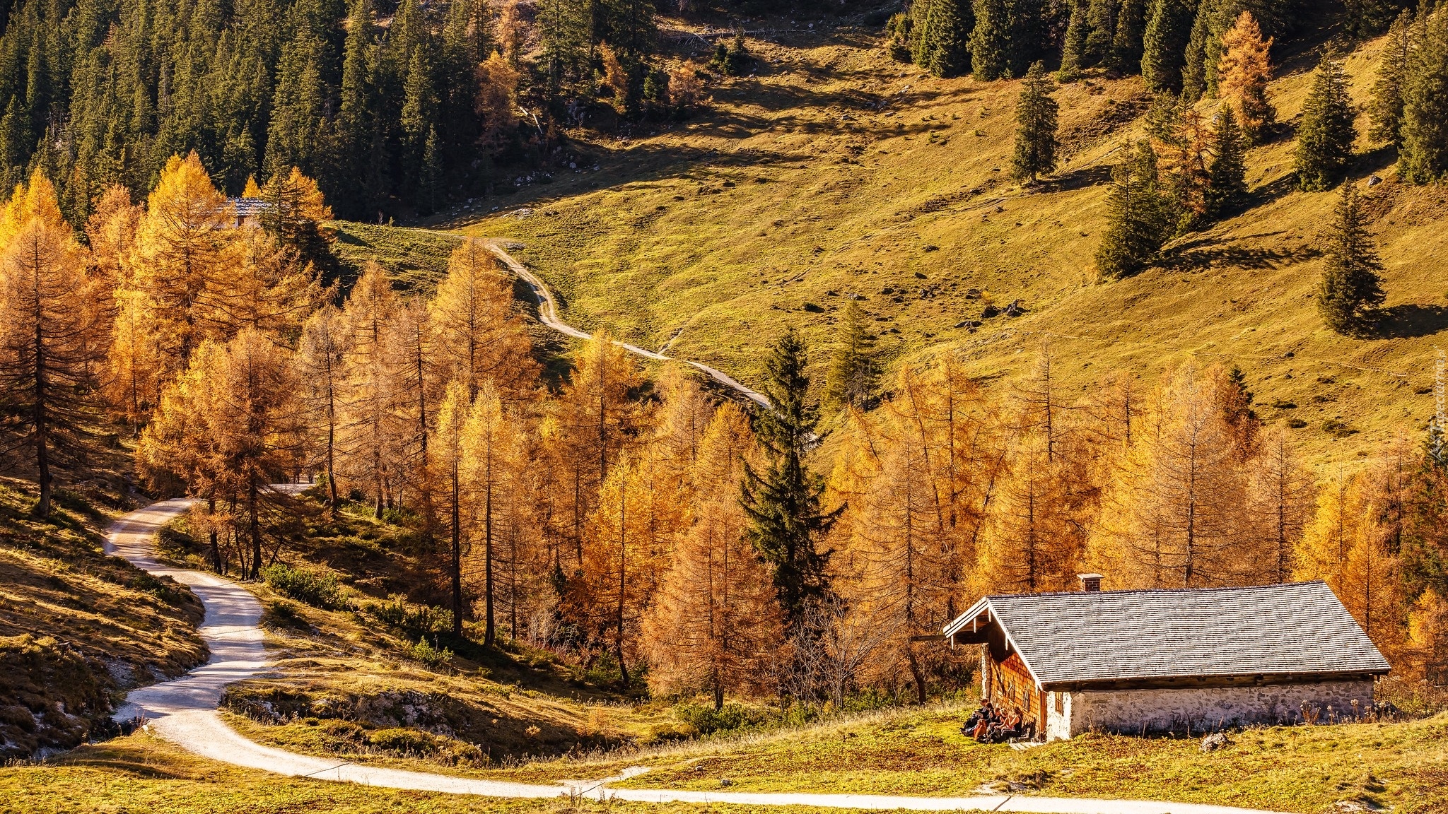 Jesień, Góry, Dom, Droga, Drzewa, Berchtesgaden, Bawaria, Niemcy