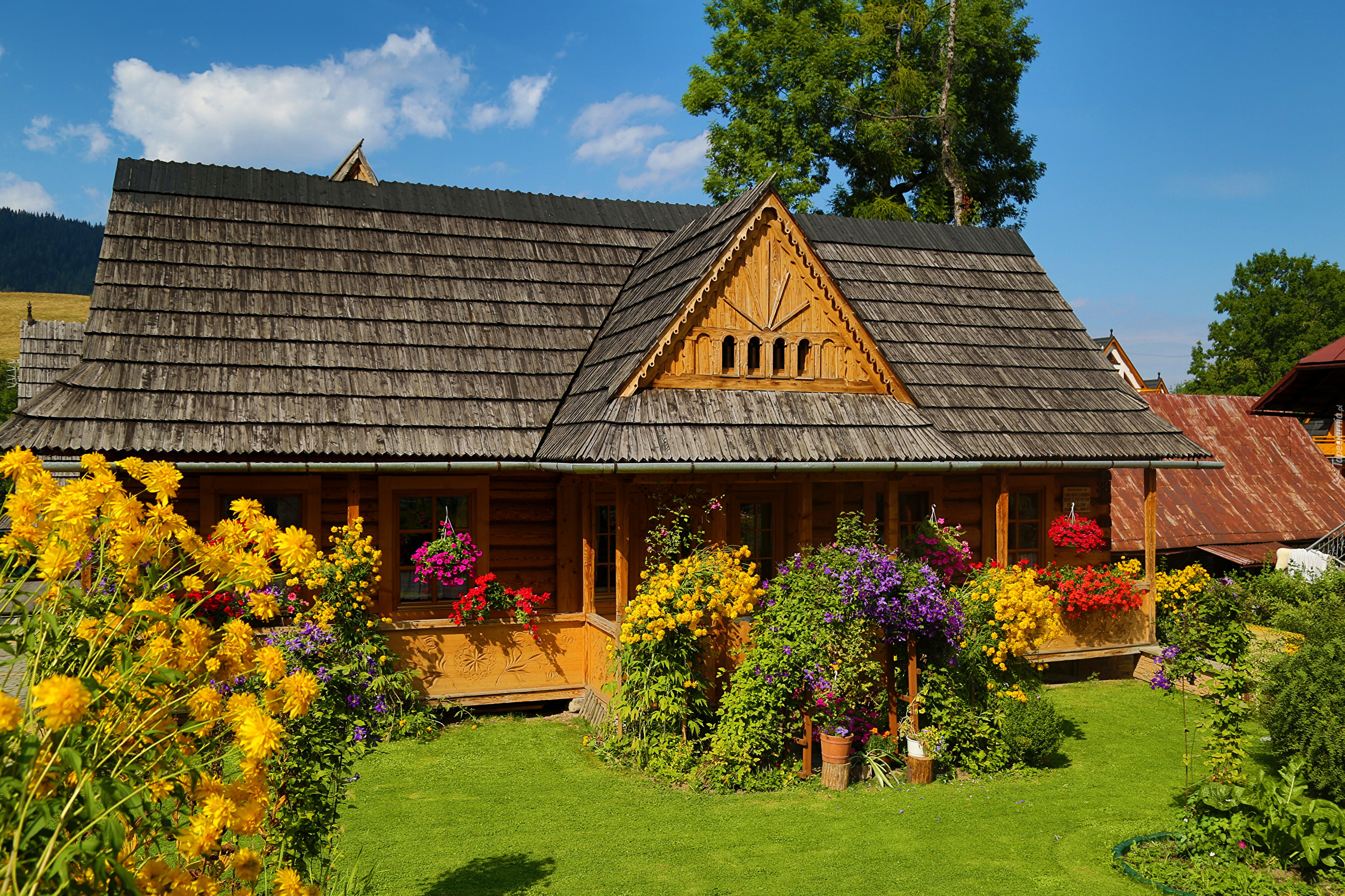 Zakopane, Dom, Kwiaty, Ogród