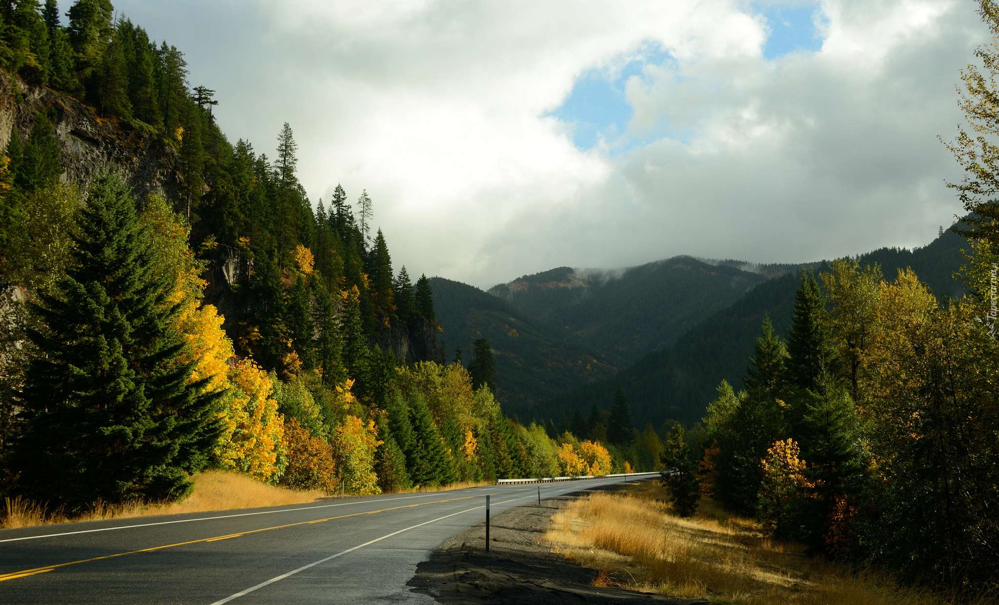 Stany Zjednoczone, Stan Oregon, Droga, Las, Drzewa, Góry Kaskadowe, Jesień