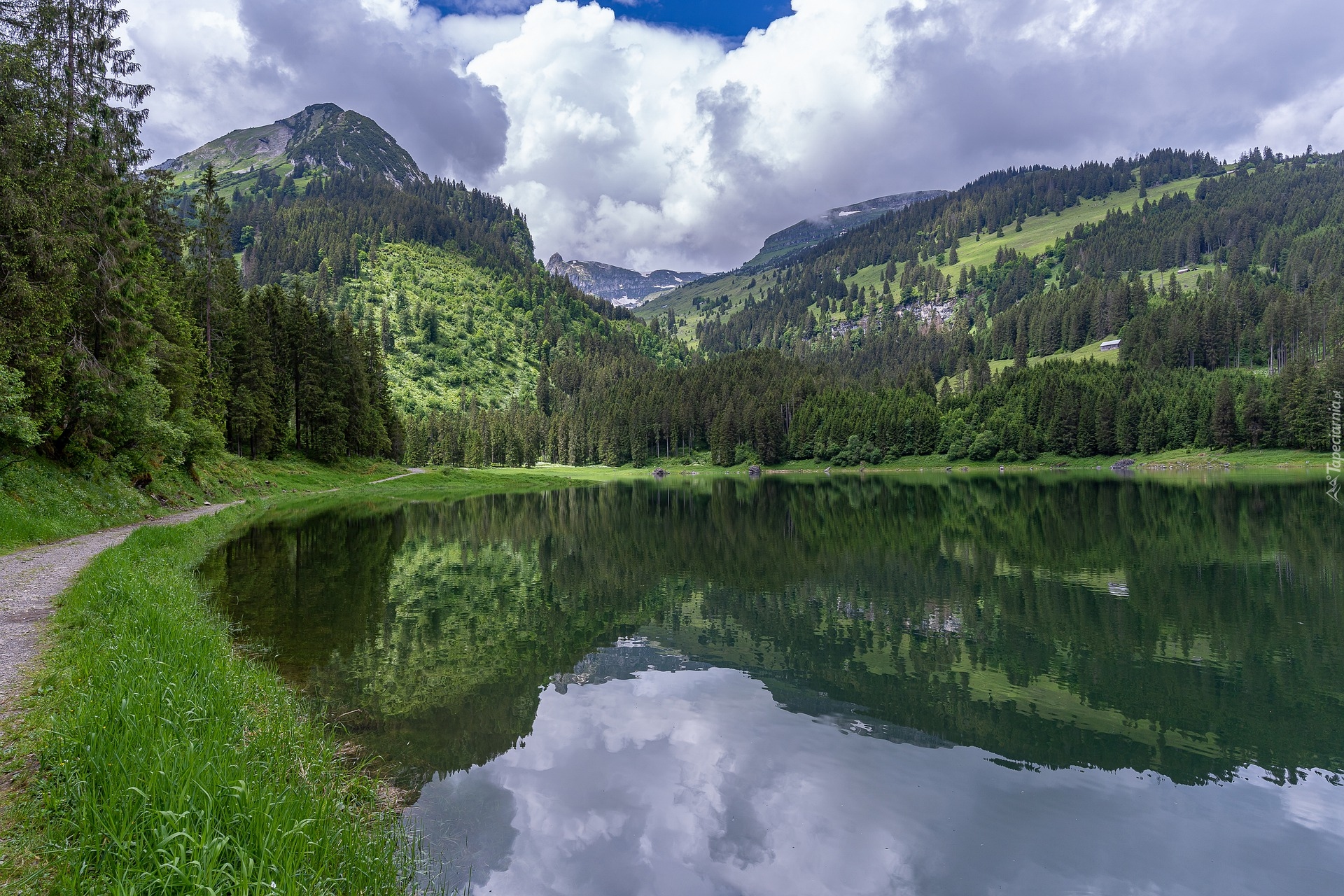 Jezioro, Voralpsee, Drzewa, Las, Góry, Alpy, Kanton Sankt Gallen, Szwajcaria