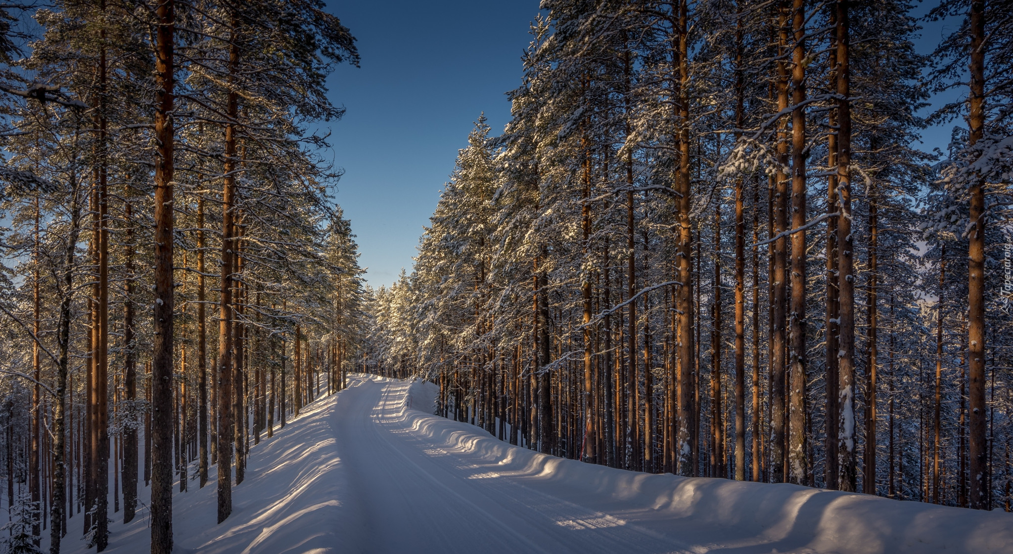Finlandia, Prowincja Finlandia Wschodnia, Lieksa, Zima, Las, Droga, Drzewa
