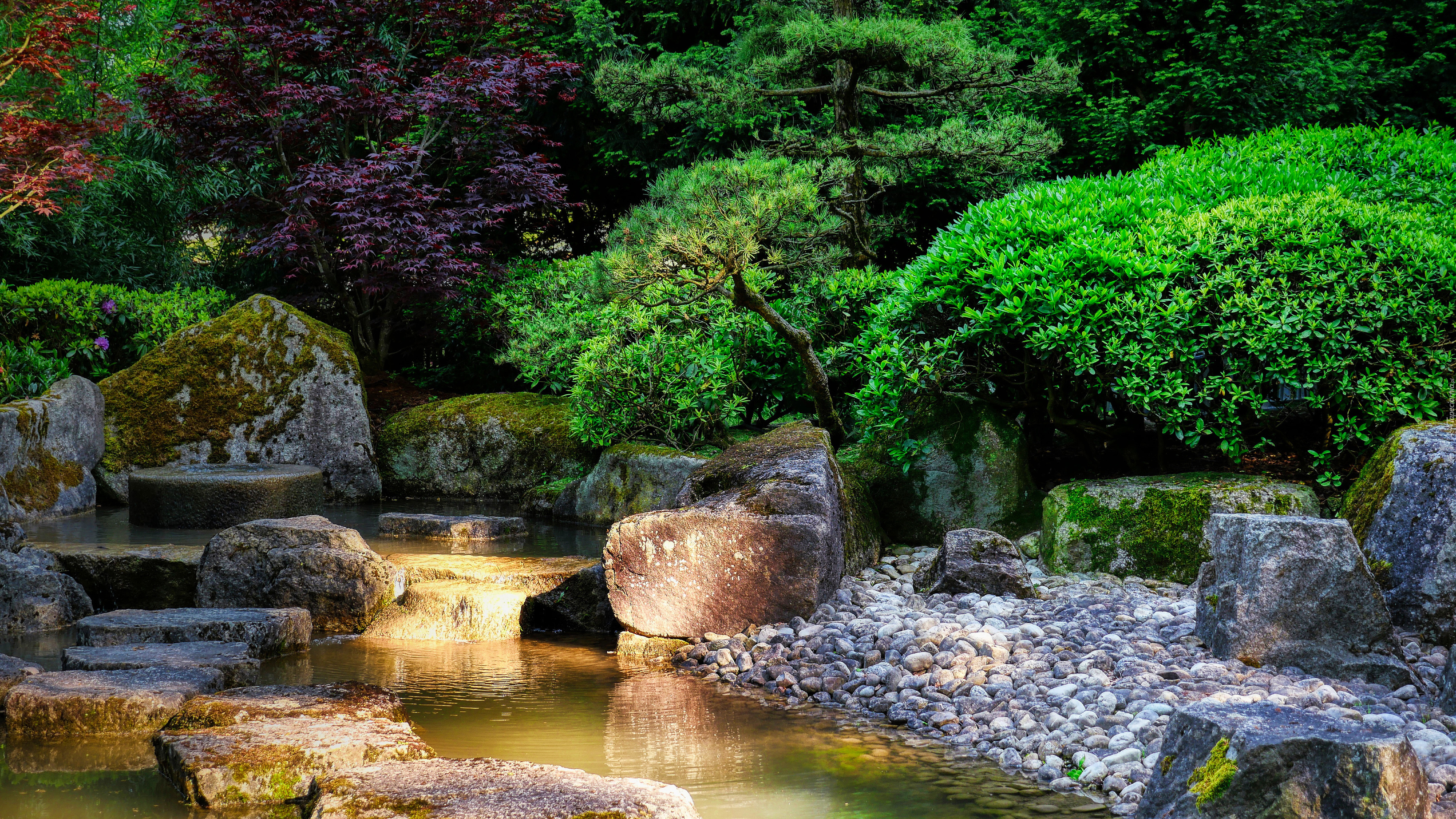 Ogród japoński, Drzewa, Krzewy, Strumień, Kamienie