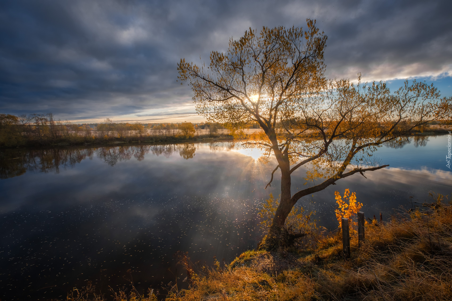 Jesień, Rzeka Dubna, Zachód słońca, Odbicie, Drzewo, Chmury, Łatgalia, Łotwa