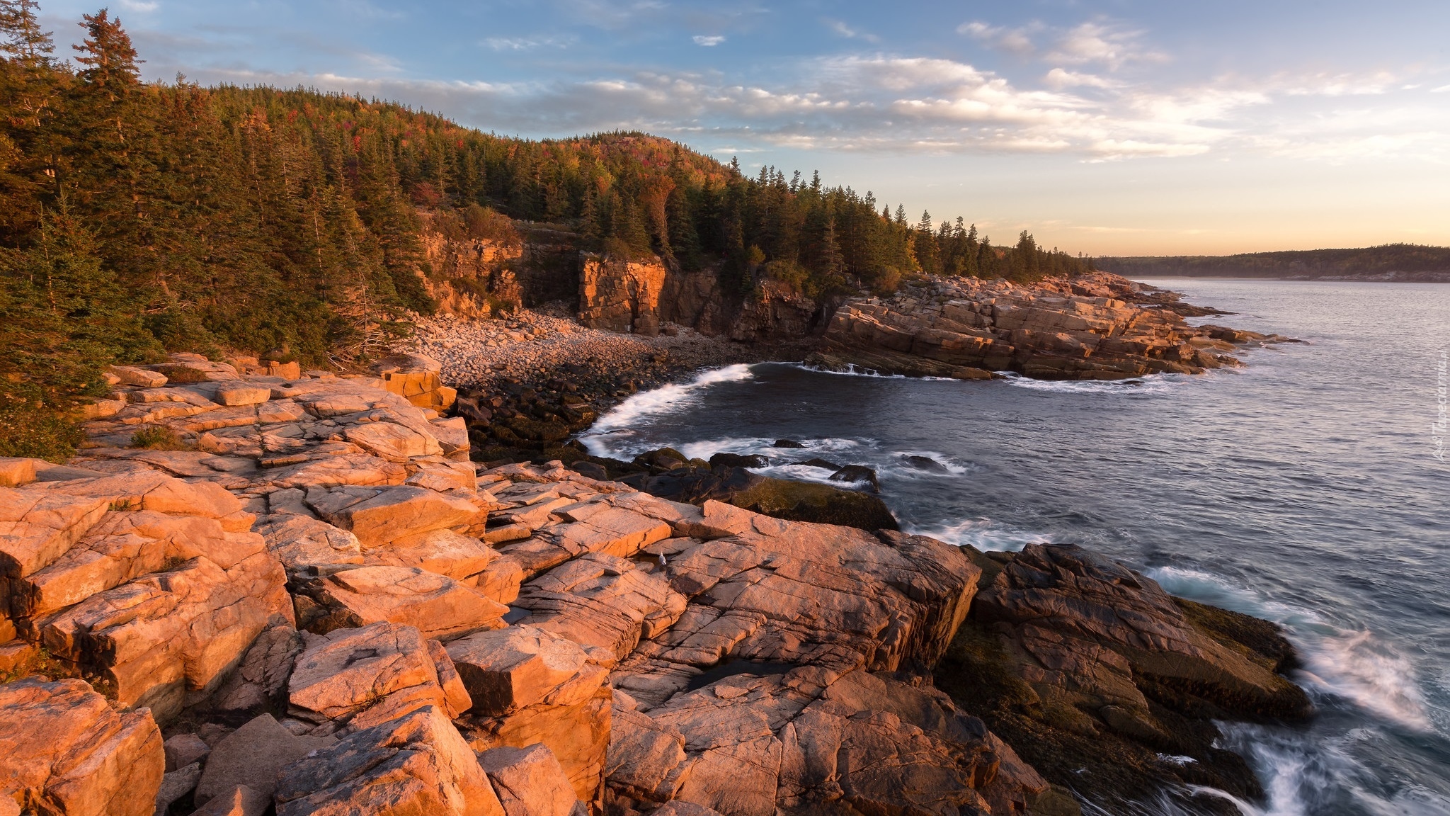 Morze, Skały, Drzewa, Park Narodowy Acadia, Stan, Maine, Stany Zjednoczone