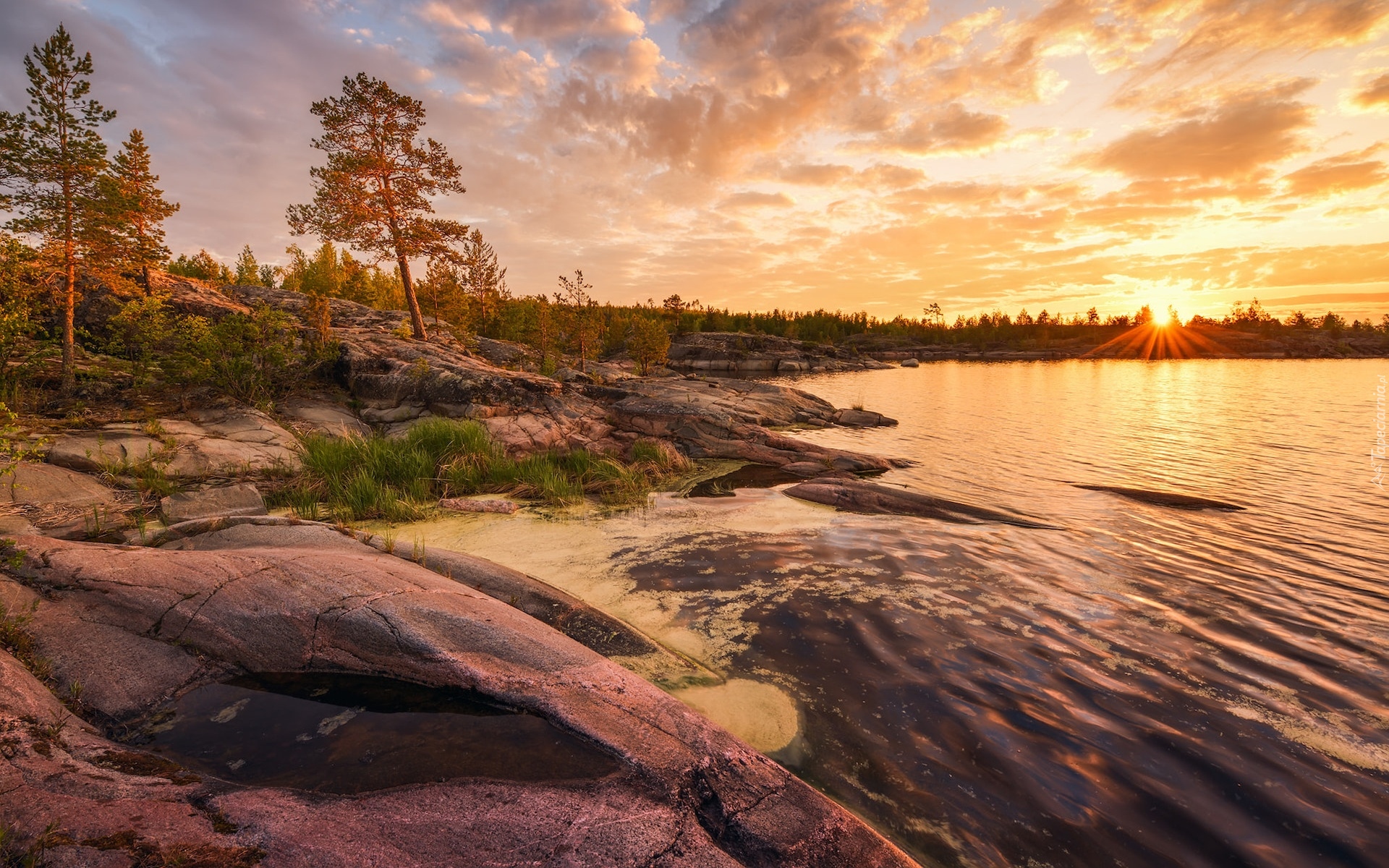 Wschód słońca, Jezioro Ładoga, Skały, Drzewa, Karelia, Rosja