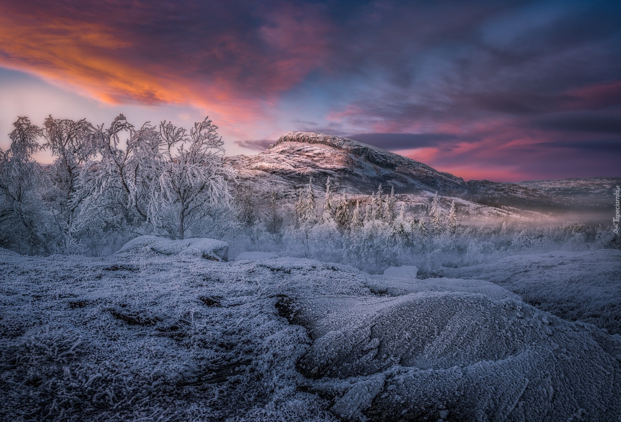 Norwegia, Góry, Szadź, Zima, Drzewa