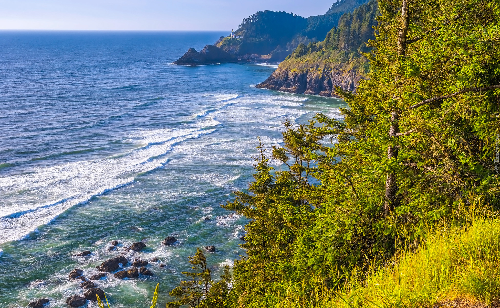 Wybrzeże, Morze, Skały, Drzewa, Trawa, Latarnia morska, Heceta Head Lighthouse, Oregon, Stany Zjednoczone