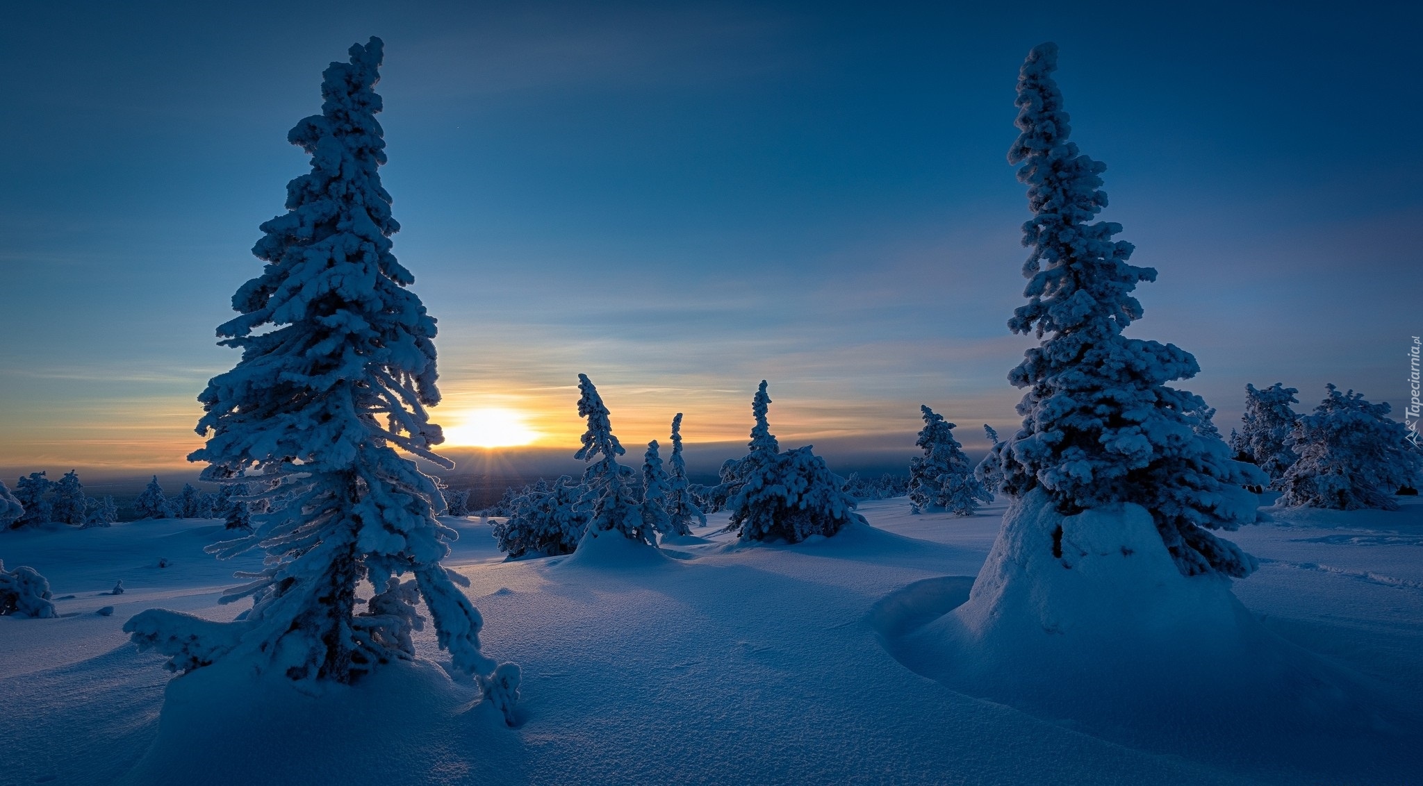 Finlandia, Region Laponia, Gmina Posio, Park Narodowy Riisitunturi, Zima, Zachód słońca, Ośnieżone, Drzewa, Świerki