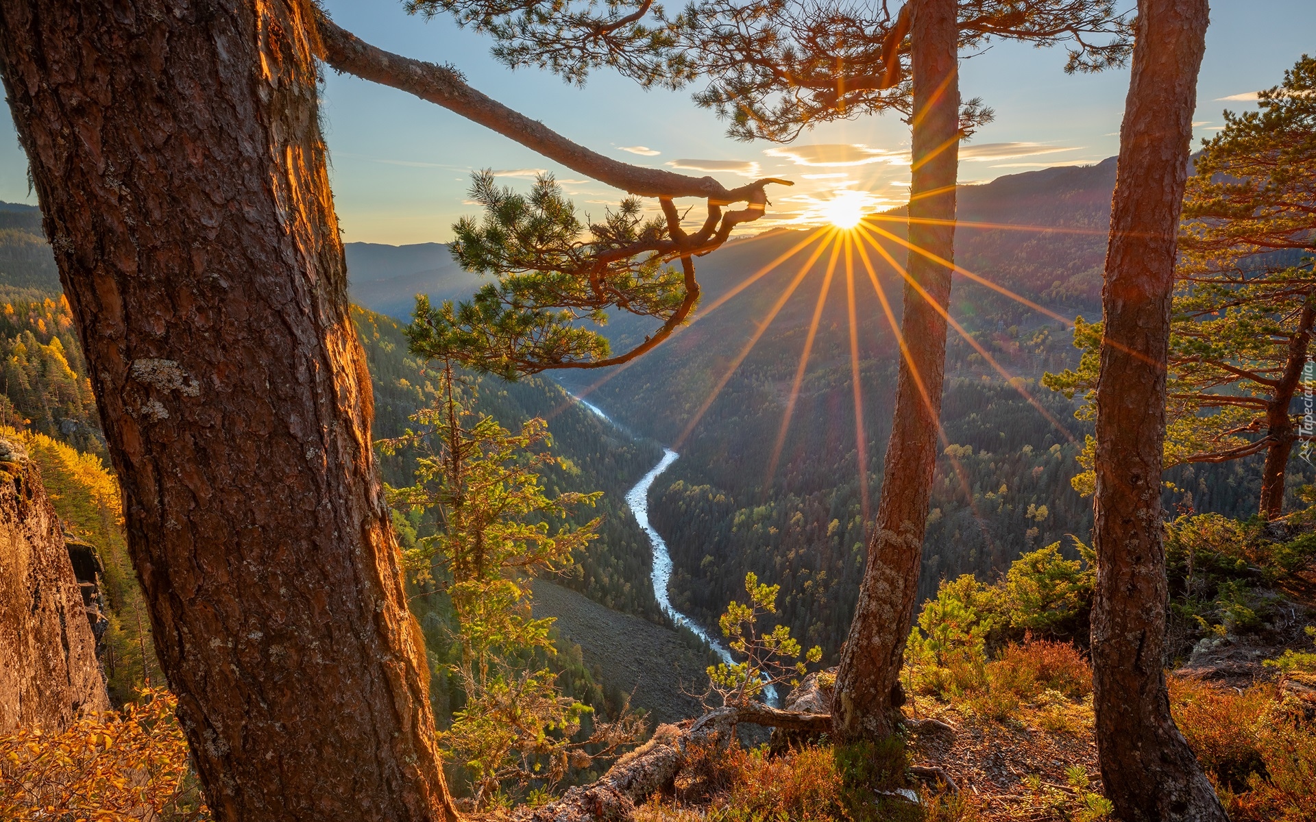 Góry, Rzeka, Las, Drzewa, Promienie słońca, Gmina Tokke, Norwegia