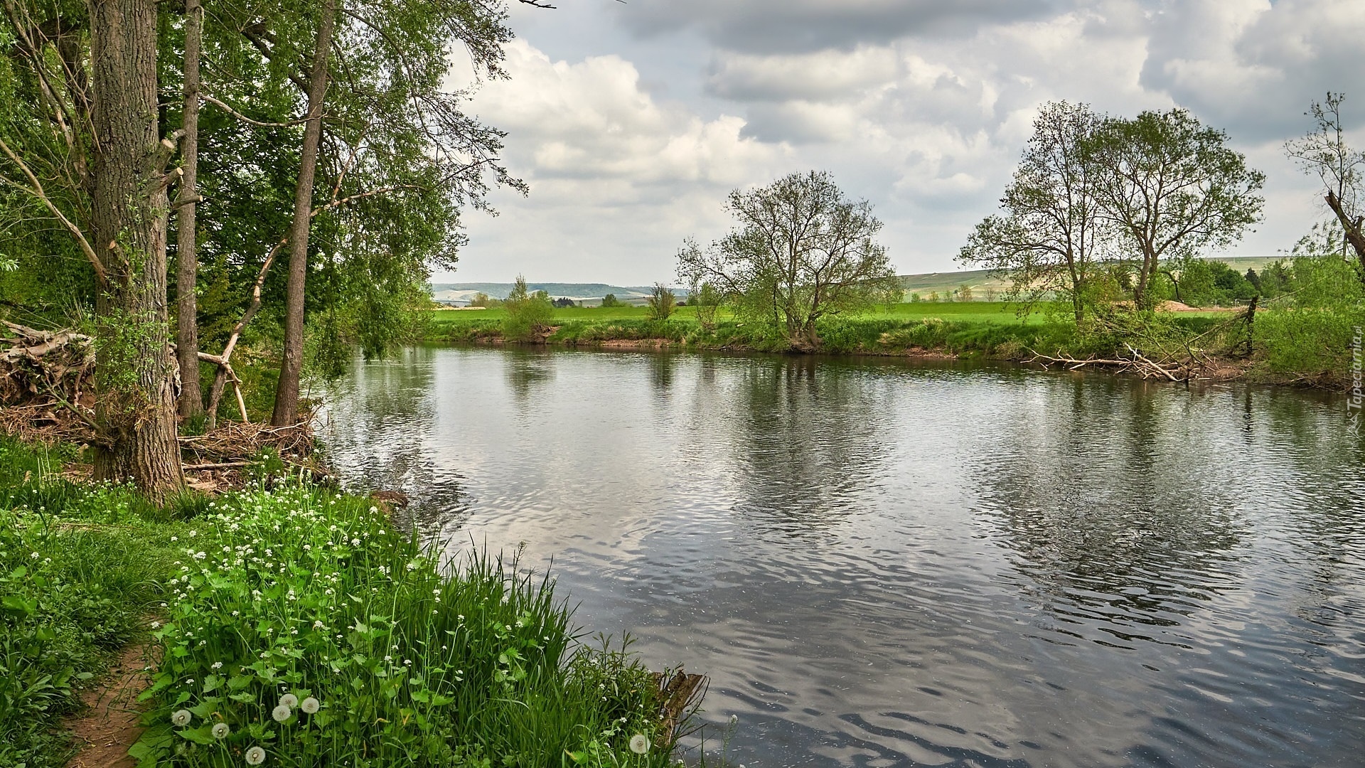 Rzeka Nahe, Drzewa, Trawa, Bretzenheim, Niemcy