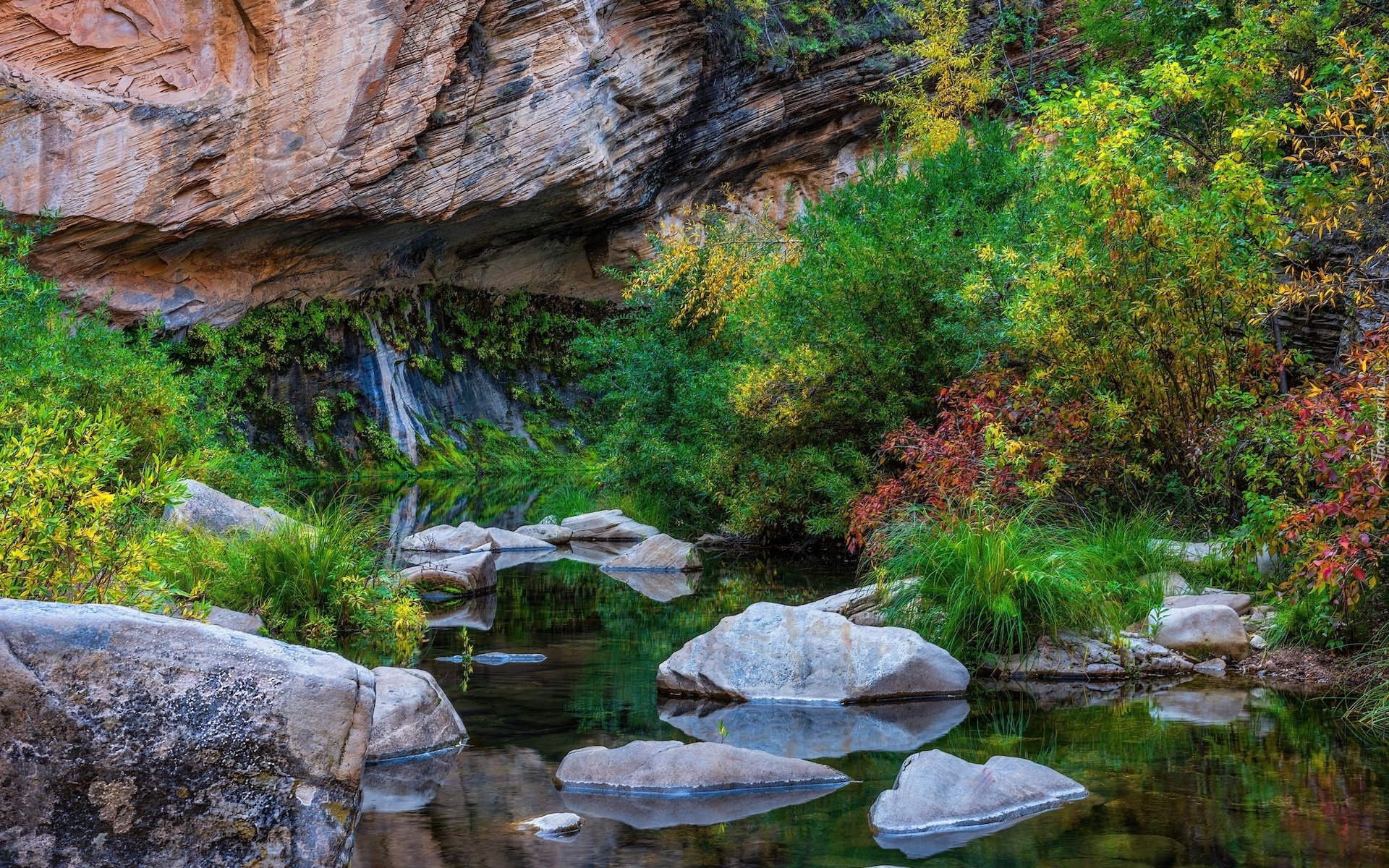 West Fork Oak Creek, Drzewa, Rzeka, Skały, Kamienie, Sedona, Arizona, Stany Zjednoczone