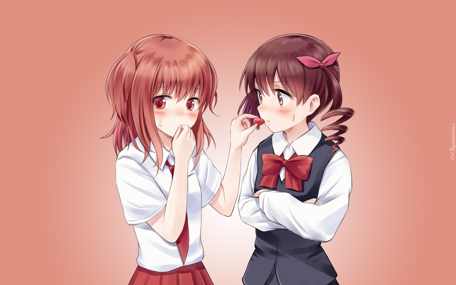 Dwie, Dziewczynki, Manga Anime