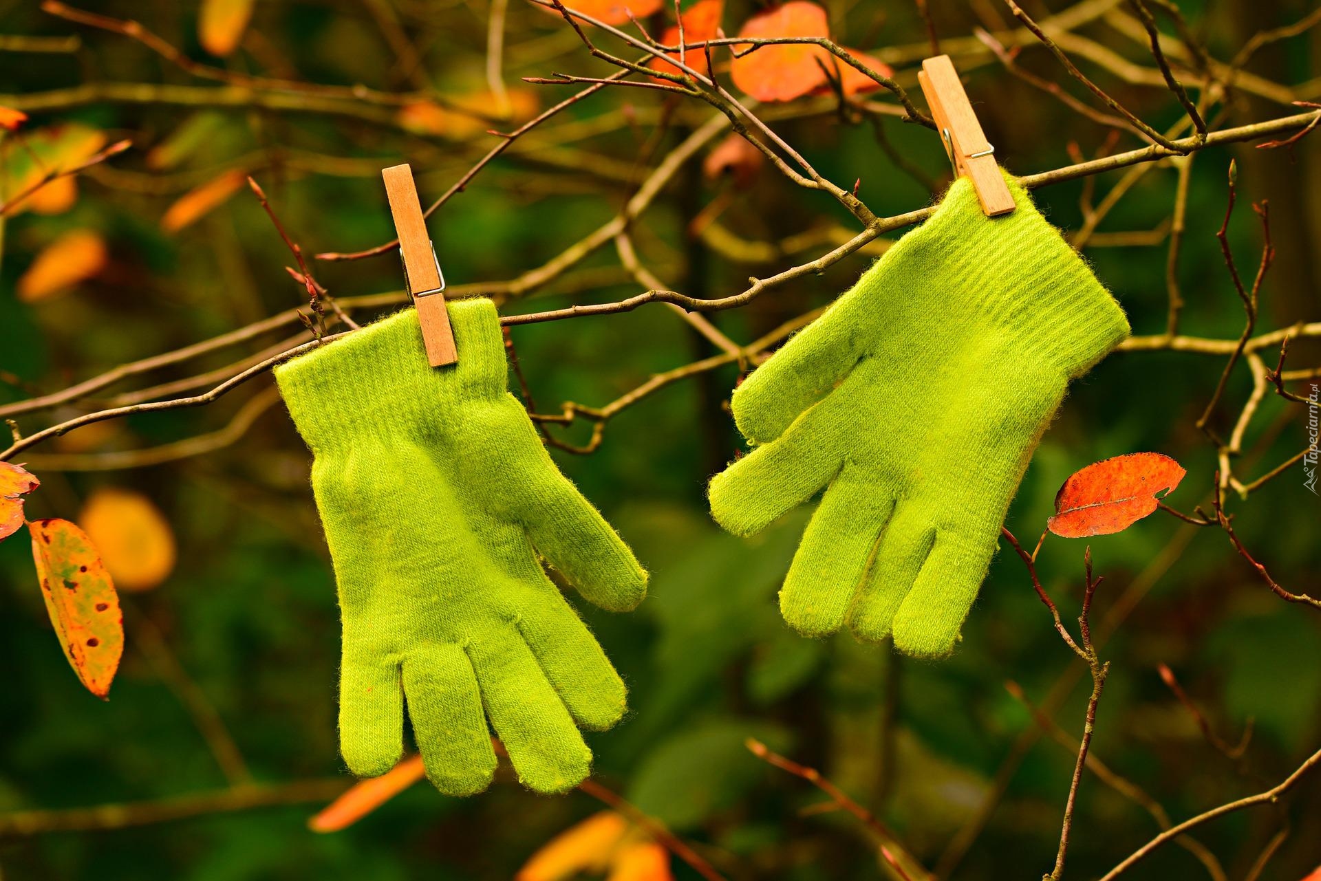 Zielone, Rękawiczki, Listki