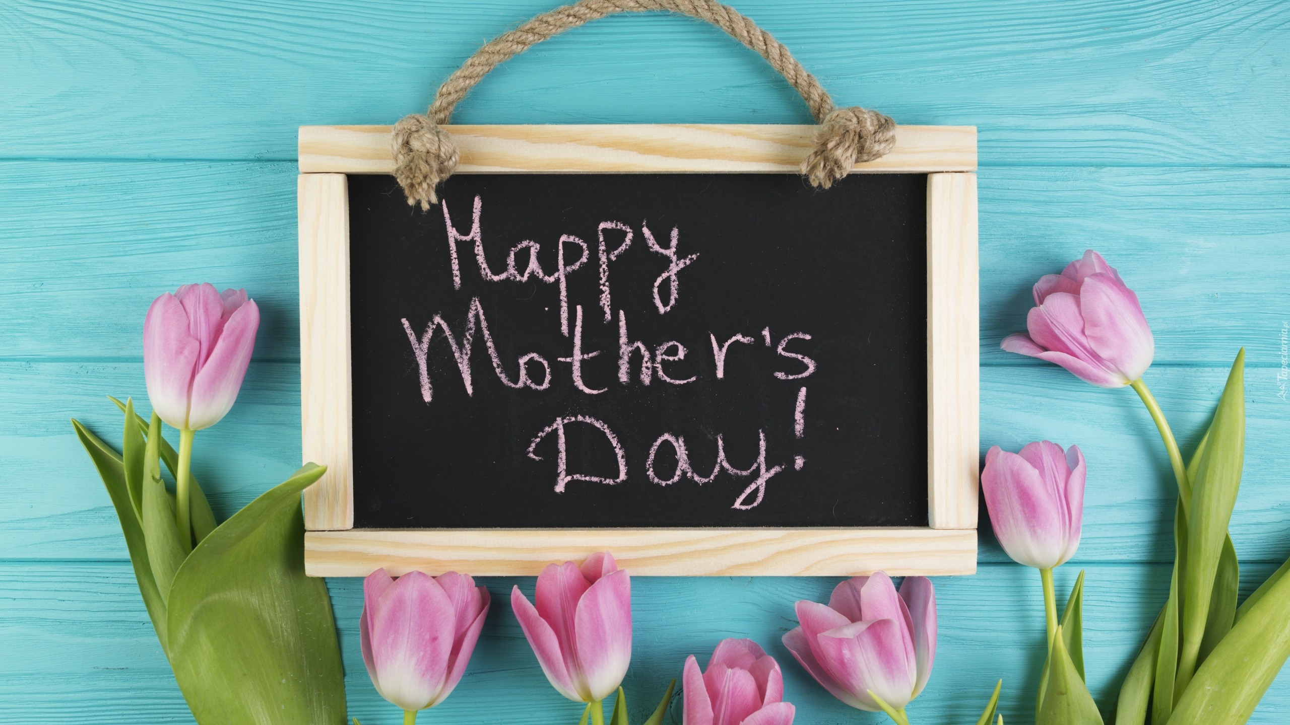 Dzień Matki, Niebieskie, Deski, Różowe, Tulipany, Tabliczka, Napis