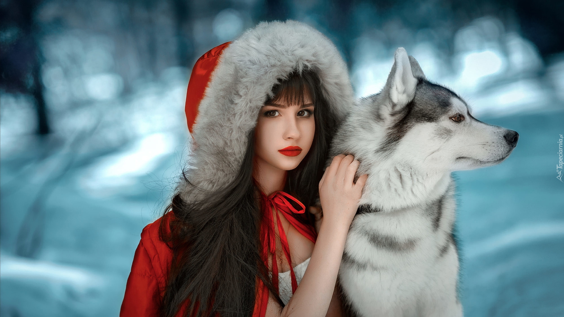 Dziewczyna, Czerwony, Płaszcz, Kaptur, Śnieg, Pies, Siberian husky