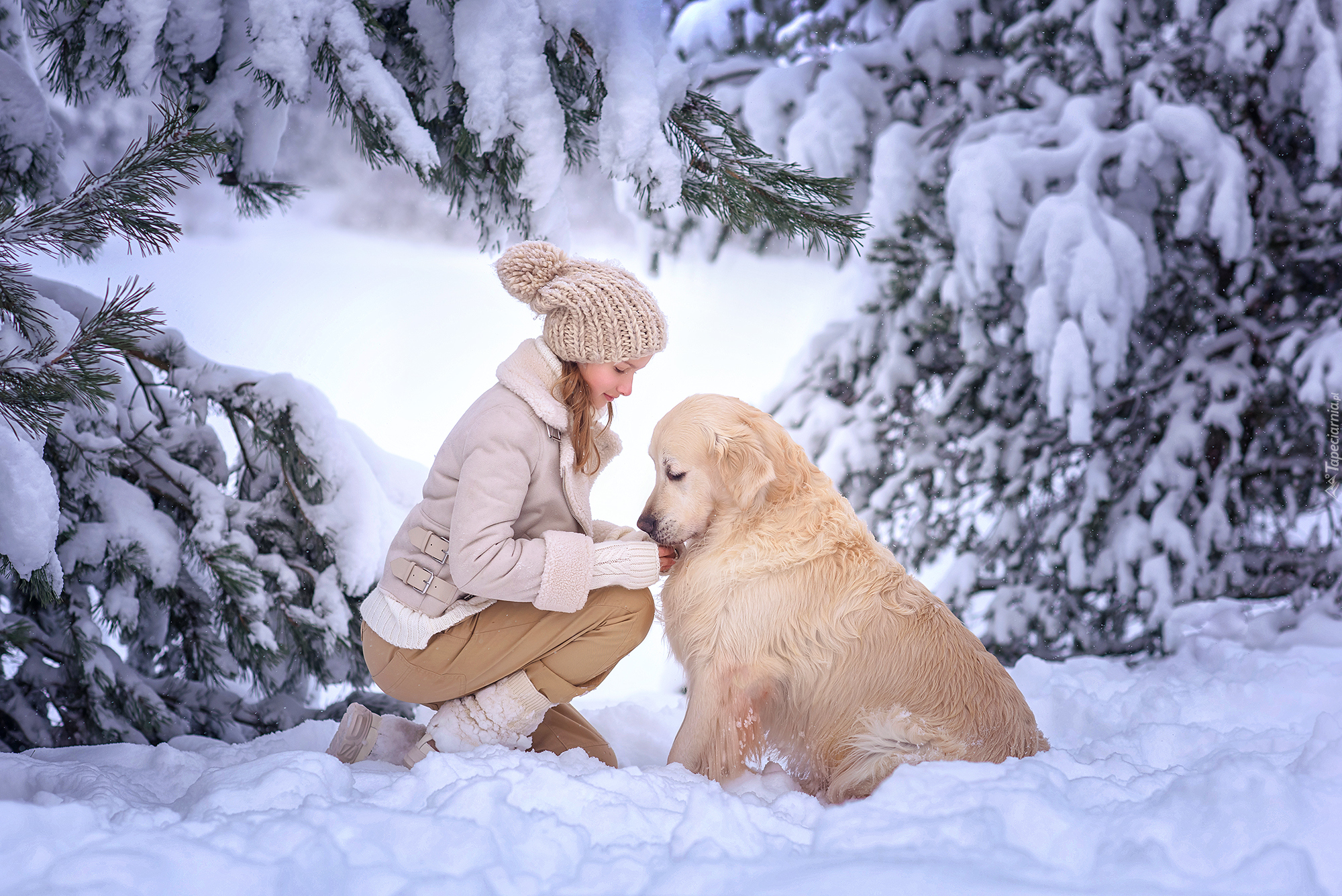 Zima, Drzewa, Śnieg, Dziewczynka, Pies, Golden retriever