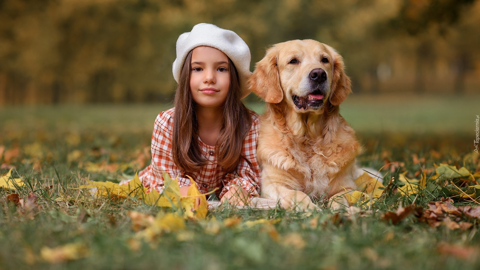 Dziewczynka, Pies, Golden retriever, Łąka, Jesień, Liście