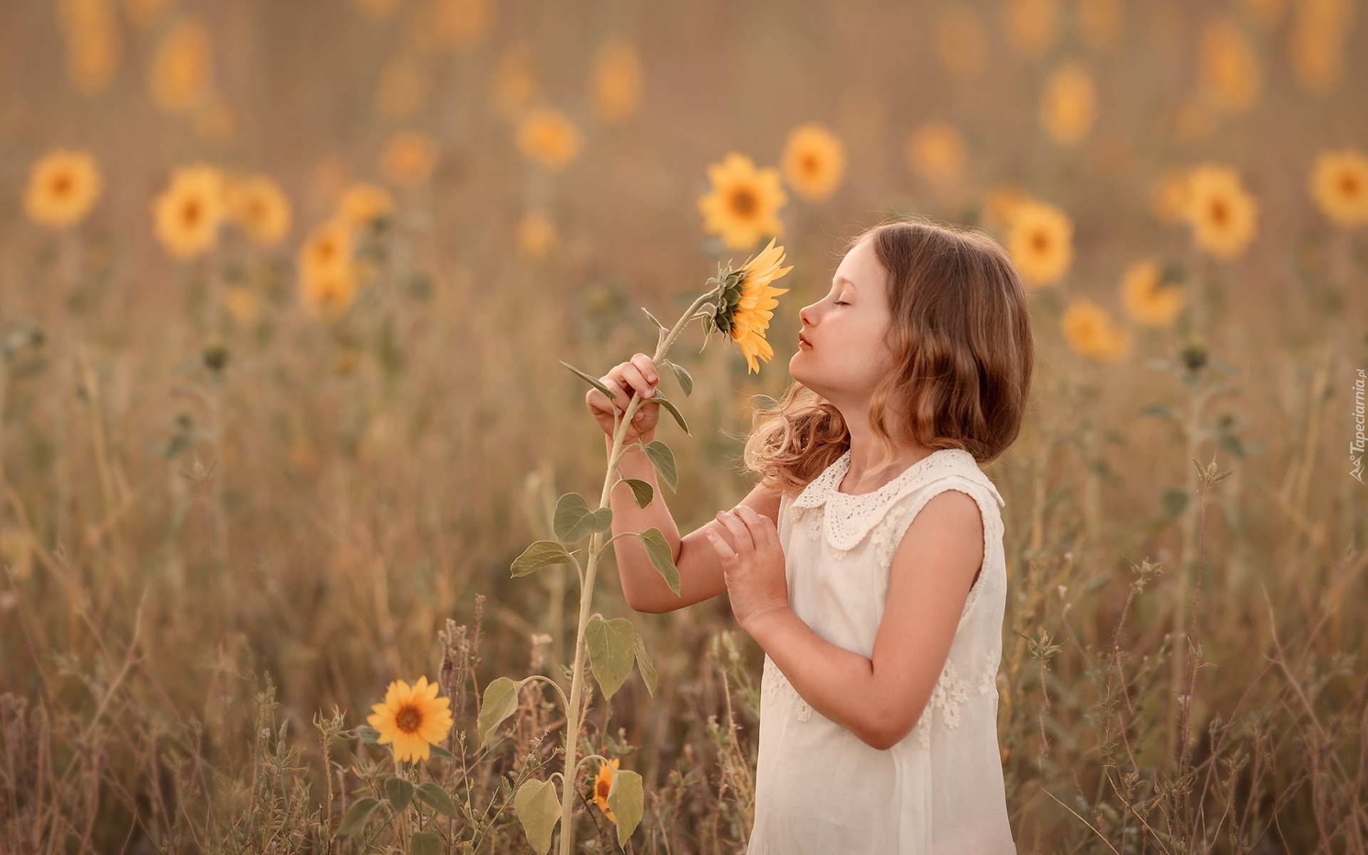 Dziewczynka, Kwiaty, Słoneczniki