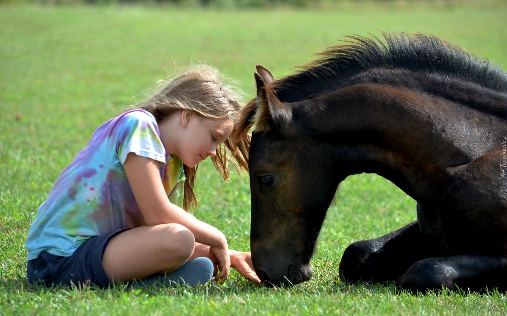 Dziewczynka, Koń, Przyjaźń