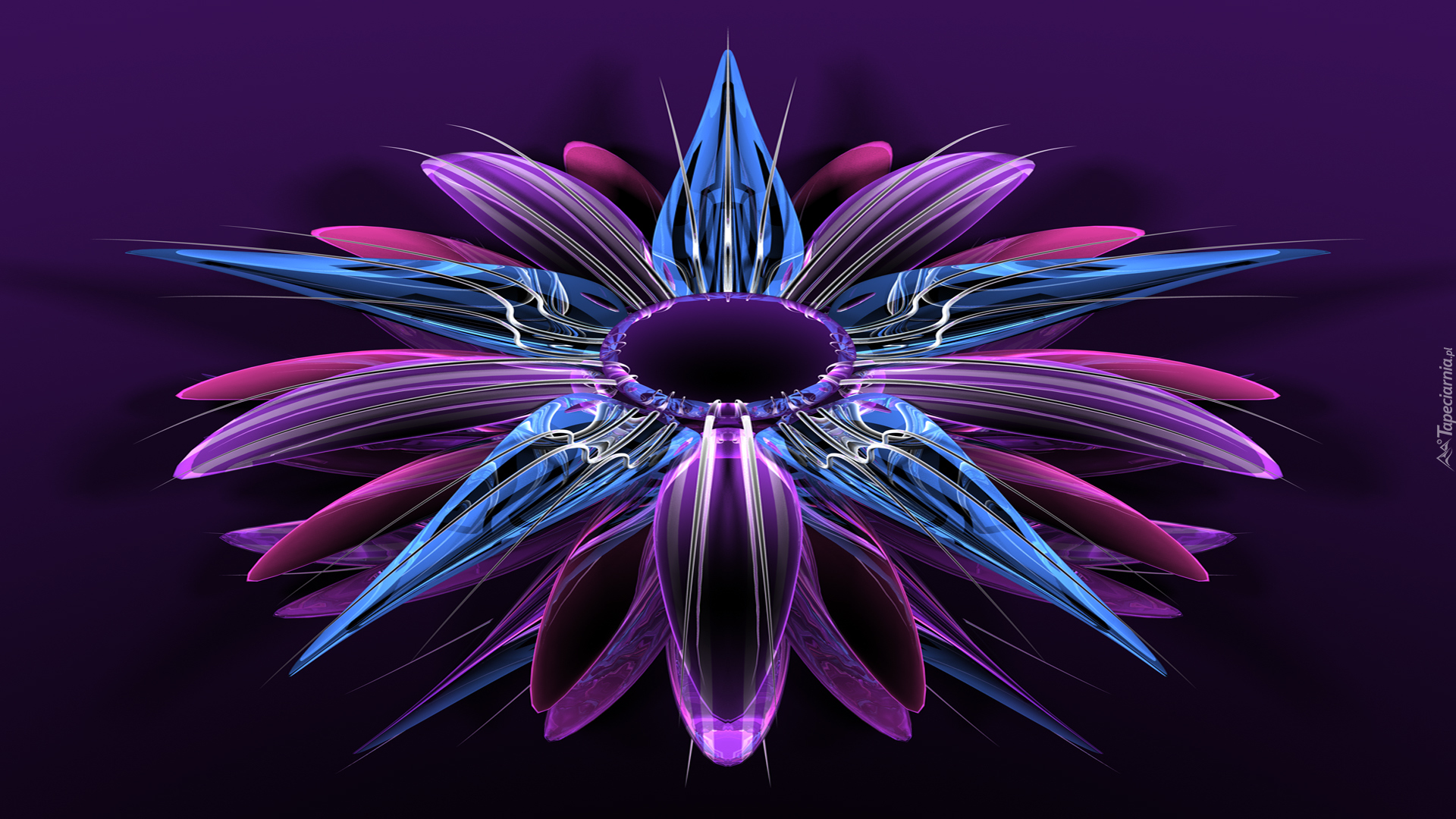 Grafika 3D, Fioletowo-niebieski, Kwiat